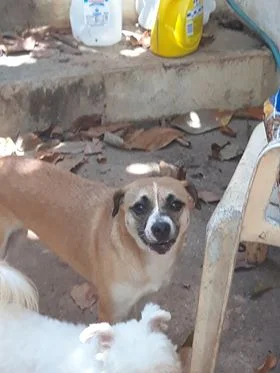 Looly