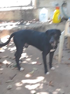 Benny