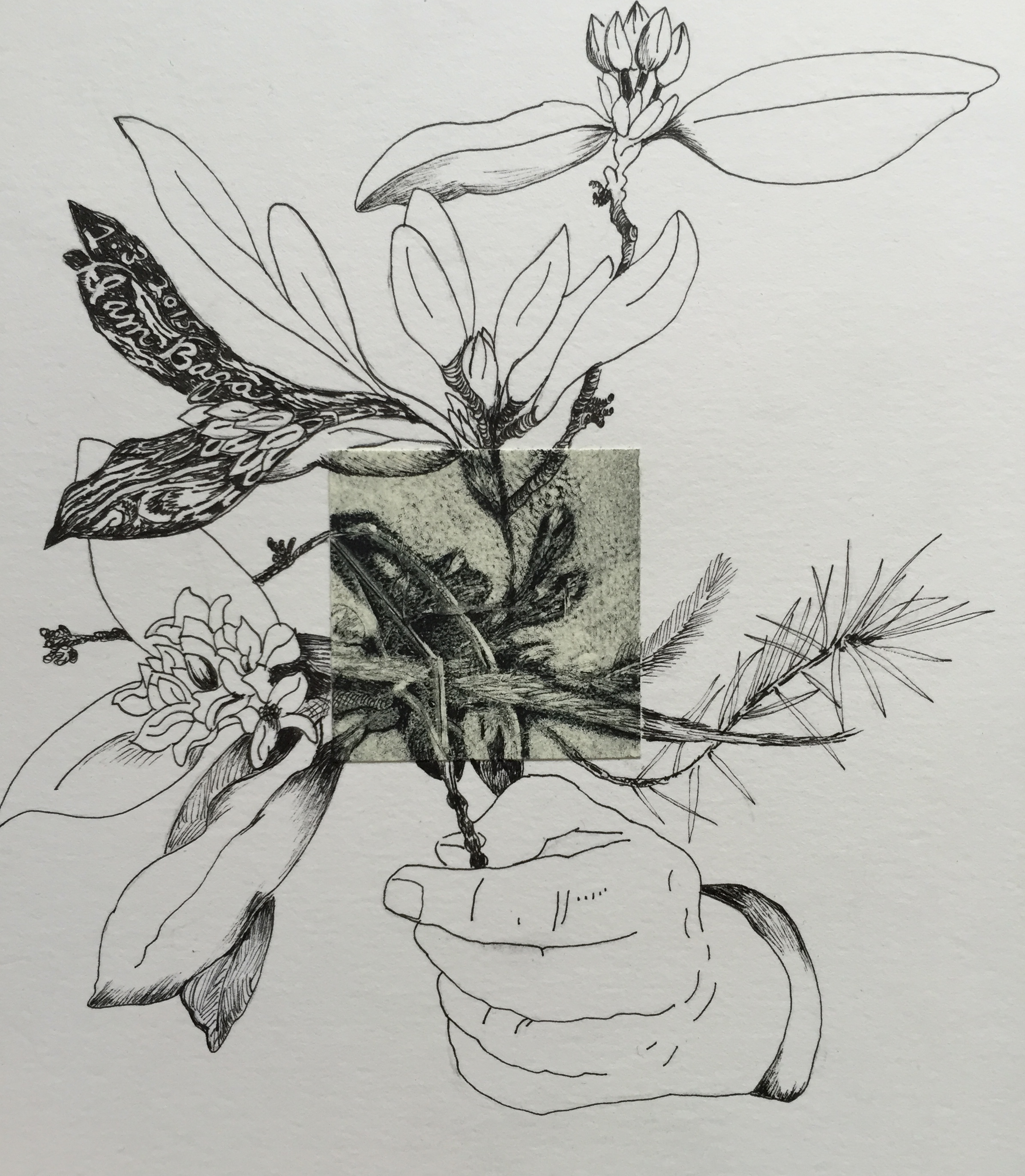 I am 8 x 8 inches monotype with ink drawing 2015