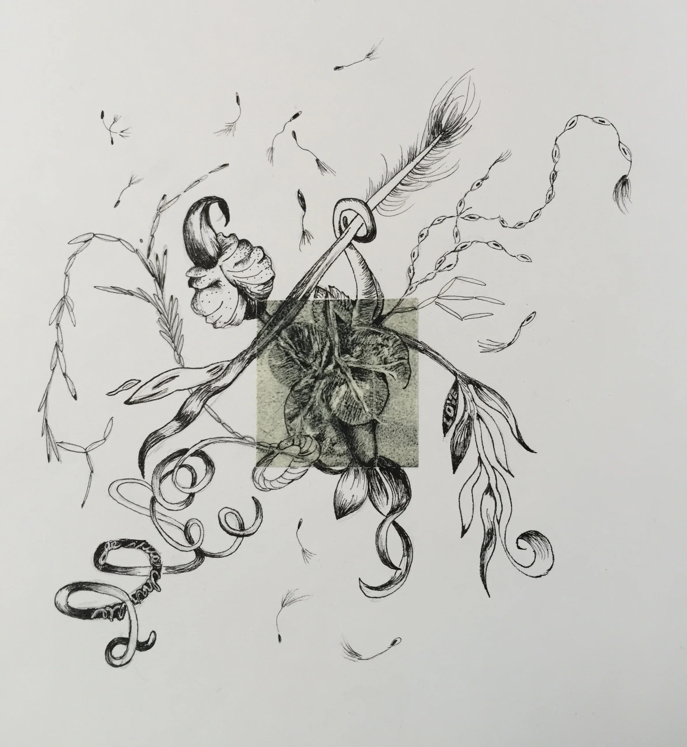 Je suis 8 x 8 inches monotype with ink drawing 2015