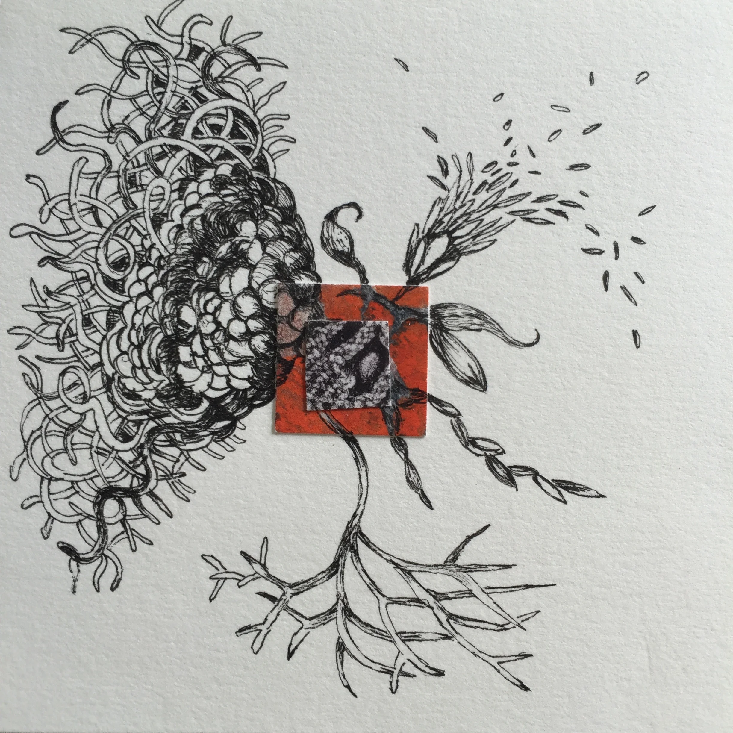 Intuition in Shigaraki Japan 5 #fancythings 4 1/2 x 4 1/2 inches ink on paper 2015
