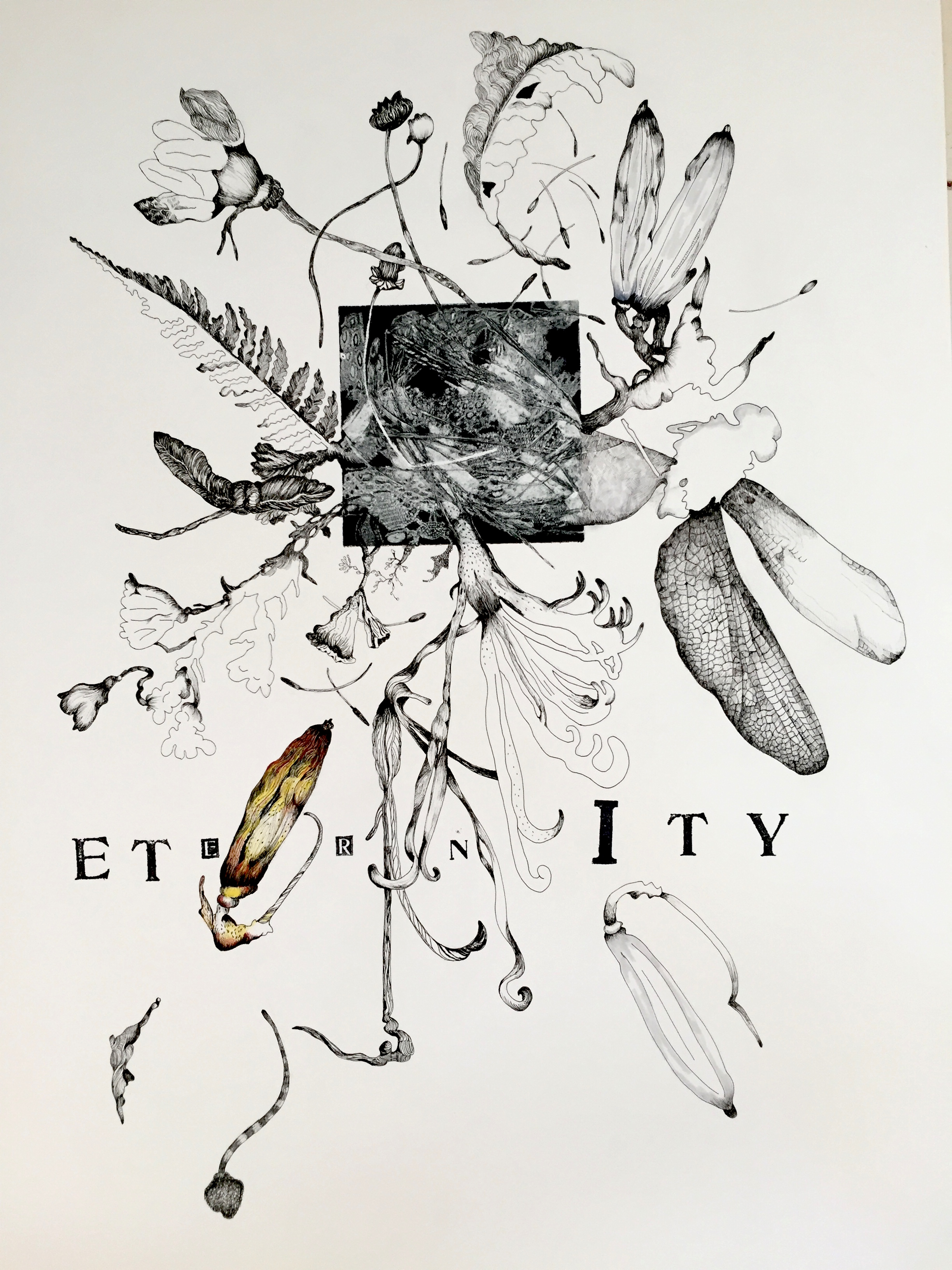   Eternity   23 x 30 inches  mixed media  image: Susan Webster   hand stamped text:Stuart Kestenbaum   2015 