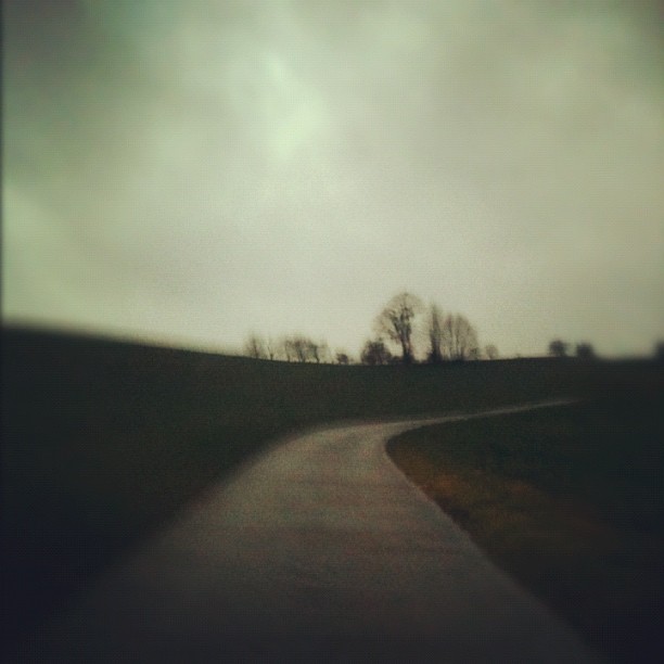 Capture d'un instant de jogging, à la lisière de Champvent, aux abords du mythique château de Champvent .
Taken at Champvent