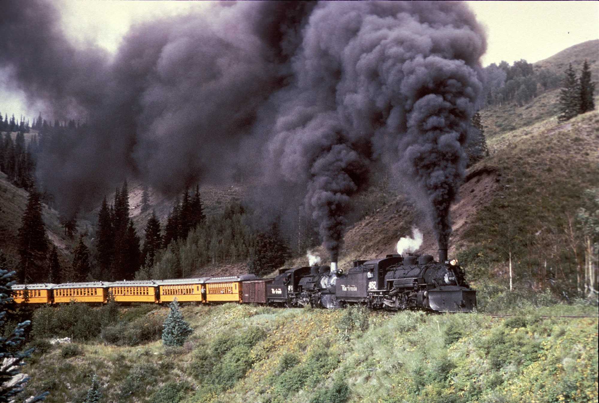 017_drgw_2000w.jpg