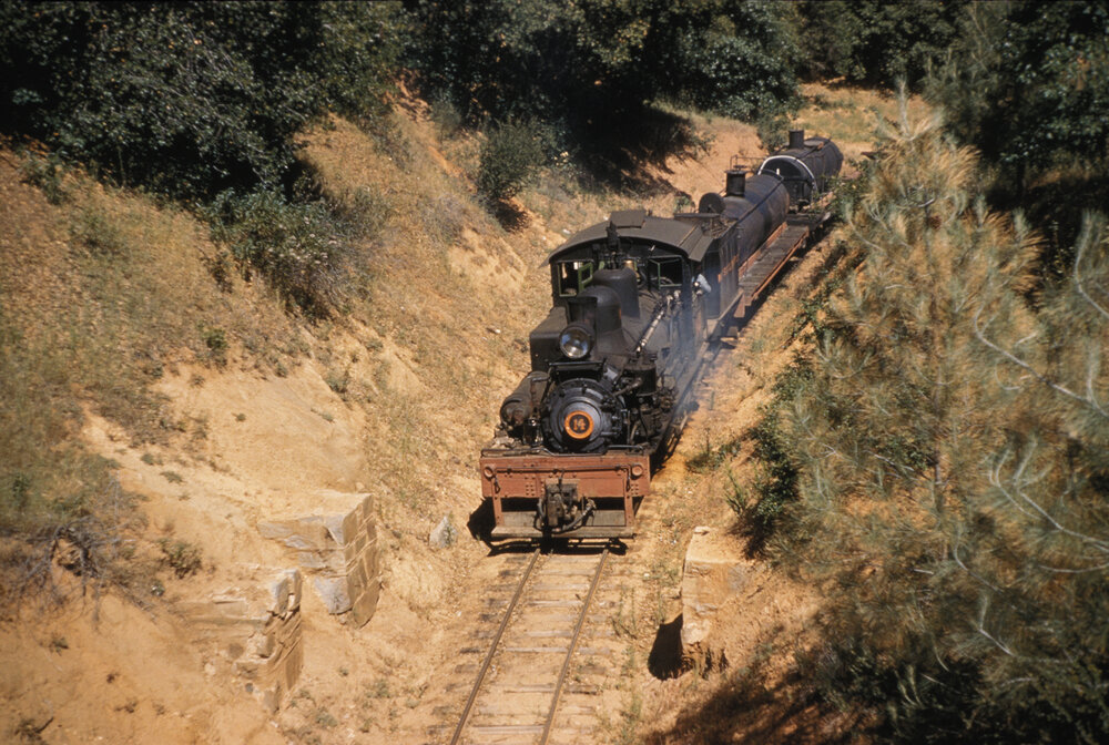  Gears in the Woods: 7 Different Steam Logging Operations in the  American West : Movies & TV