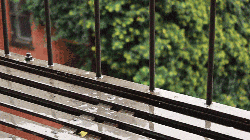 A Rainy Autumn Day