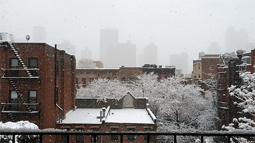 NYC Blizzard