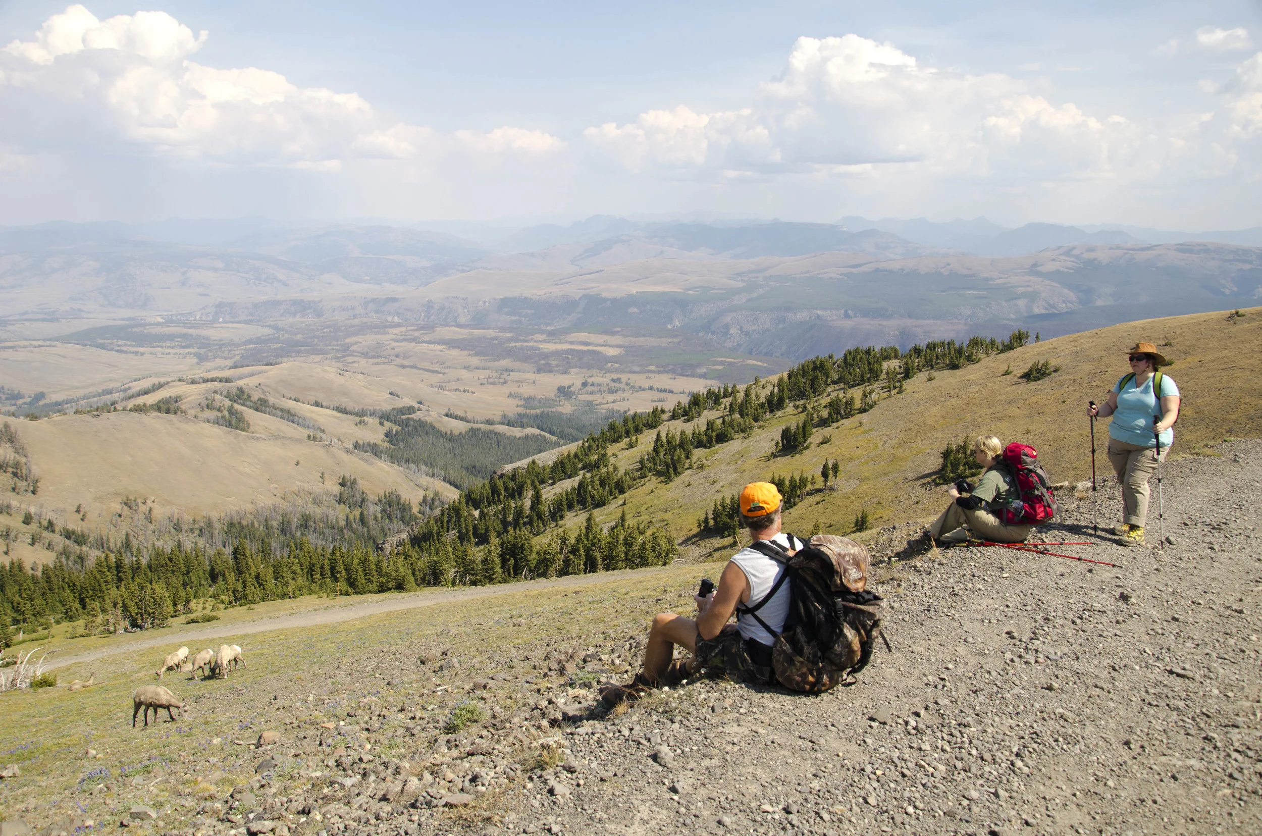 My friend takes photos and so do I