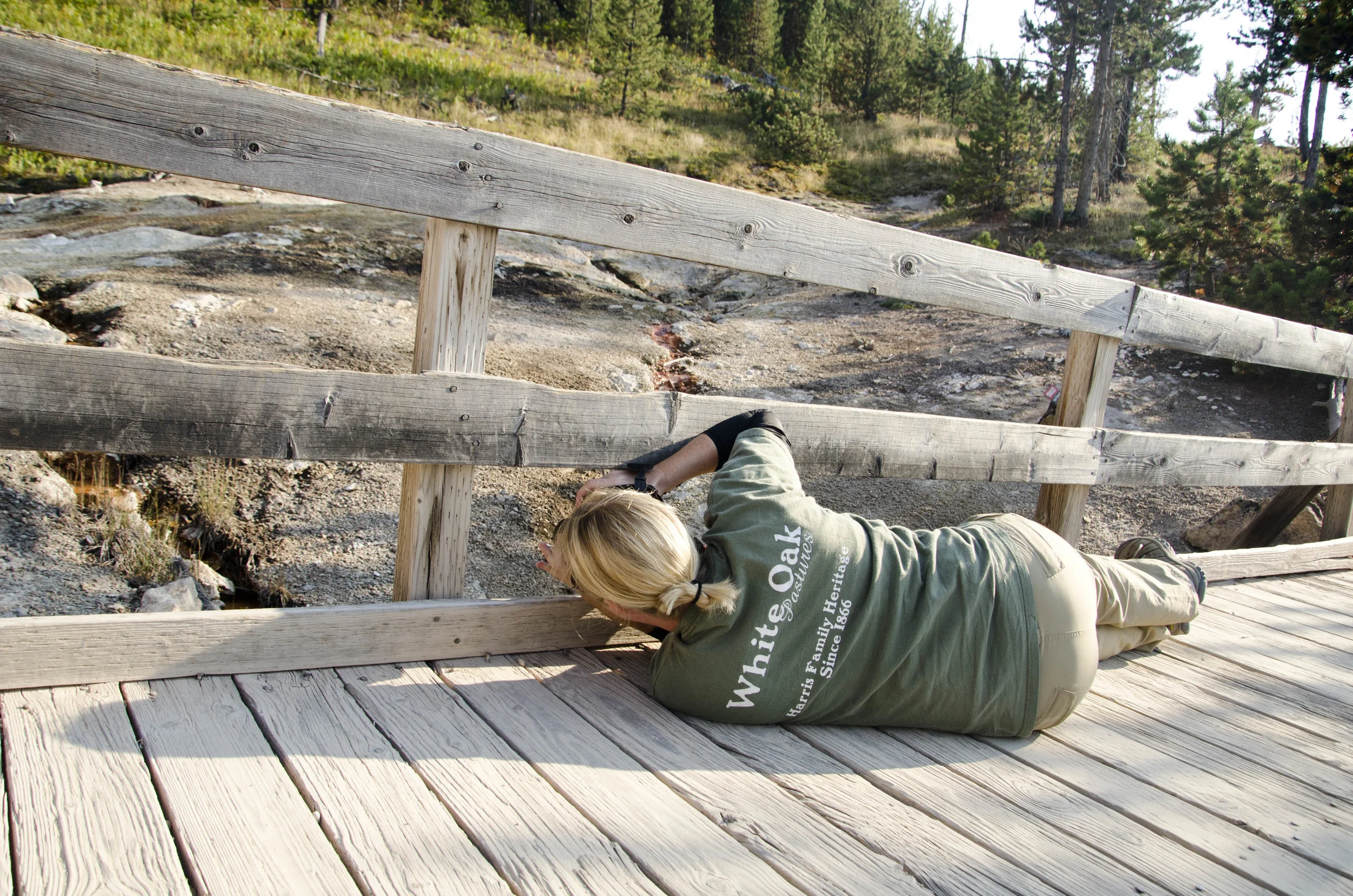 My friend takes photos and so do I