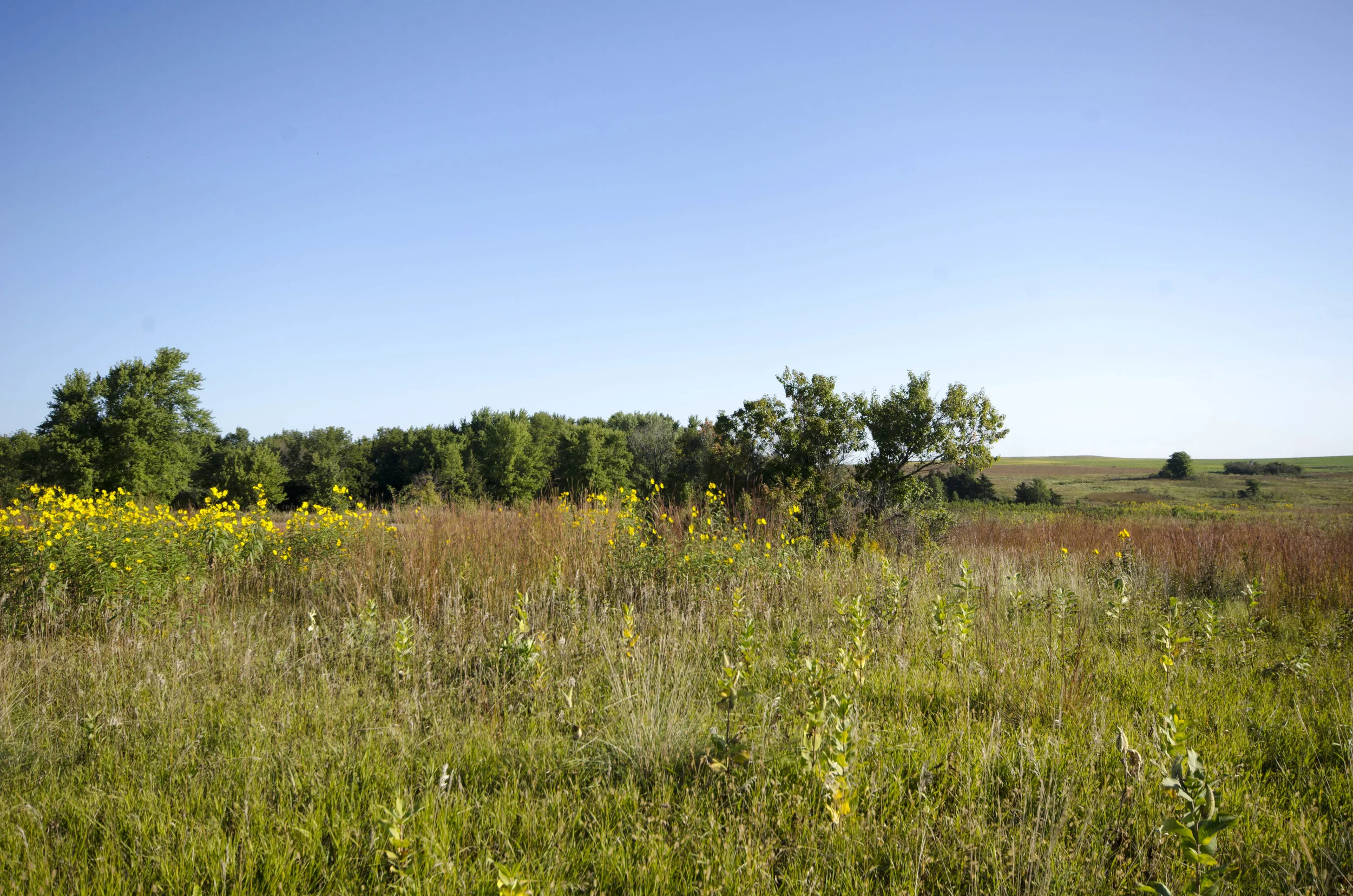 Day 47: Saying goodbye to a friend, saying hello to an officer and 593 miles in 4 states