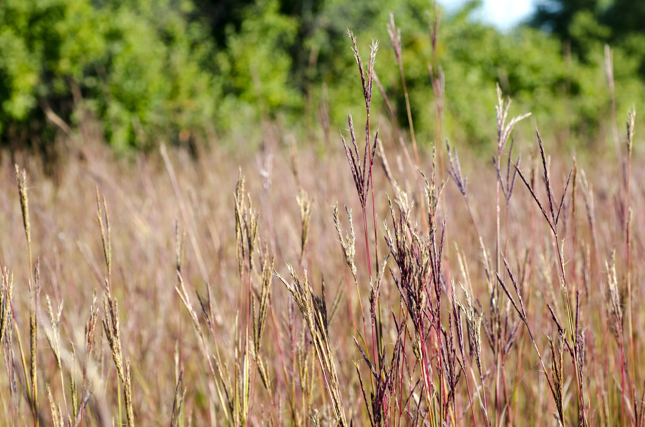 Day 47: Saying goodbye to a friend, saying hello to an officer and 593 miles in 4 states
