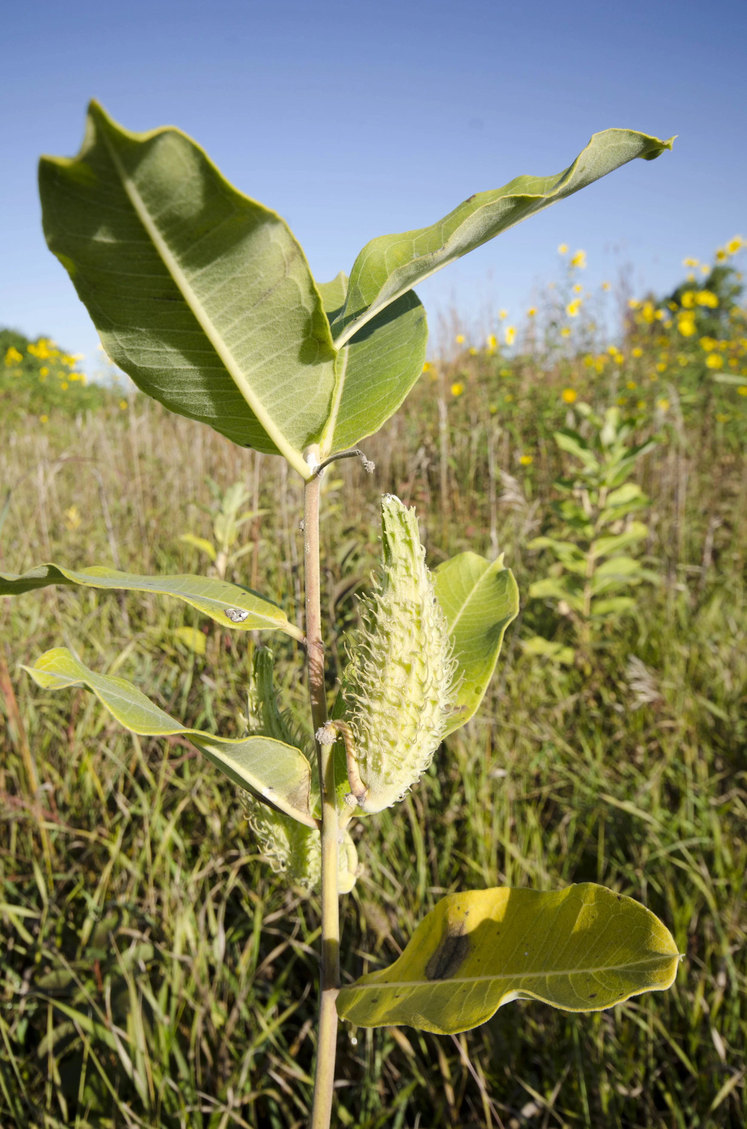 Day 47: Saying goodbye to a friend, saying hello to an officer and 593 miles in 4 states