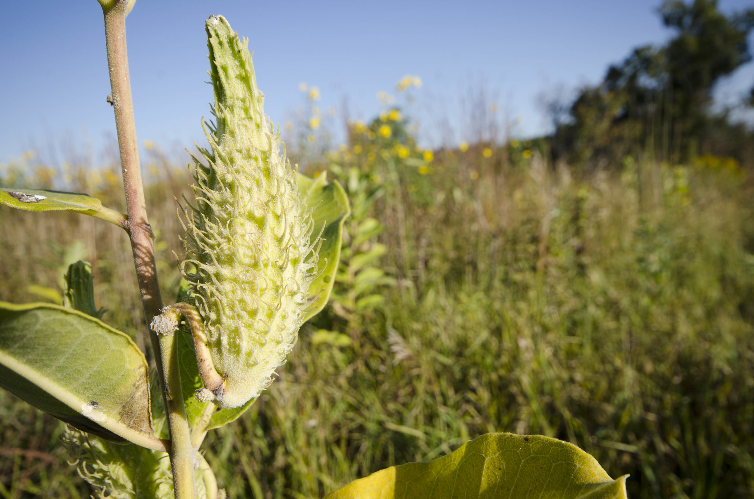 Day 47: Saying goodbye to a friend, saying hello to an officer and 593 miles in 4 states