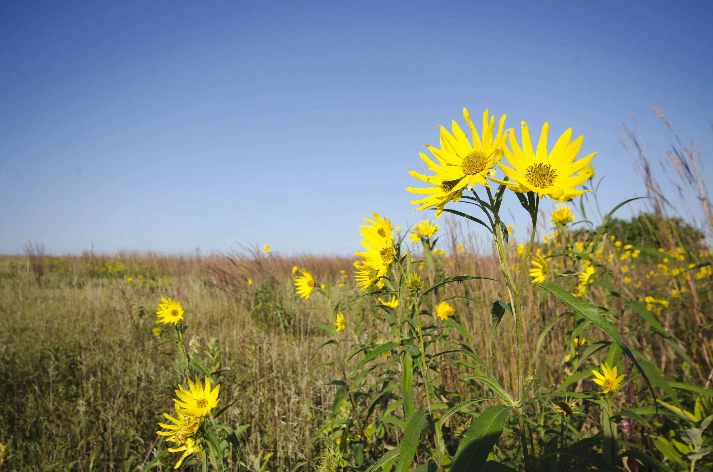 Day 47: Saying goodbye to a friend, saying hello to an officer and 593 miles in 4 states
