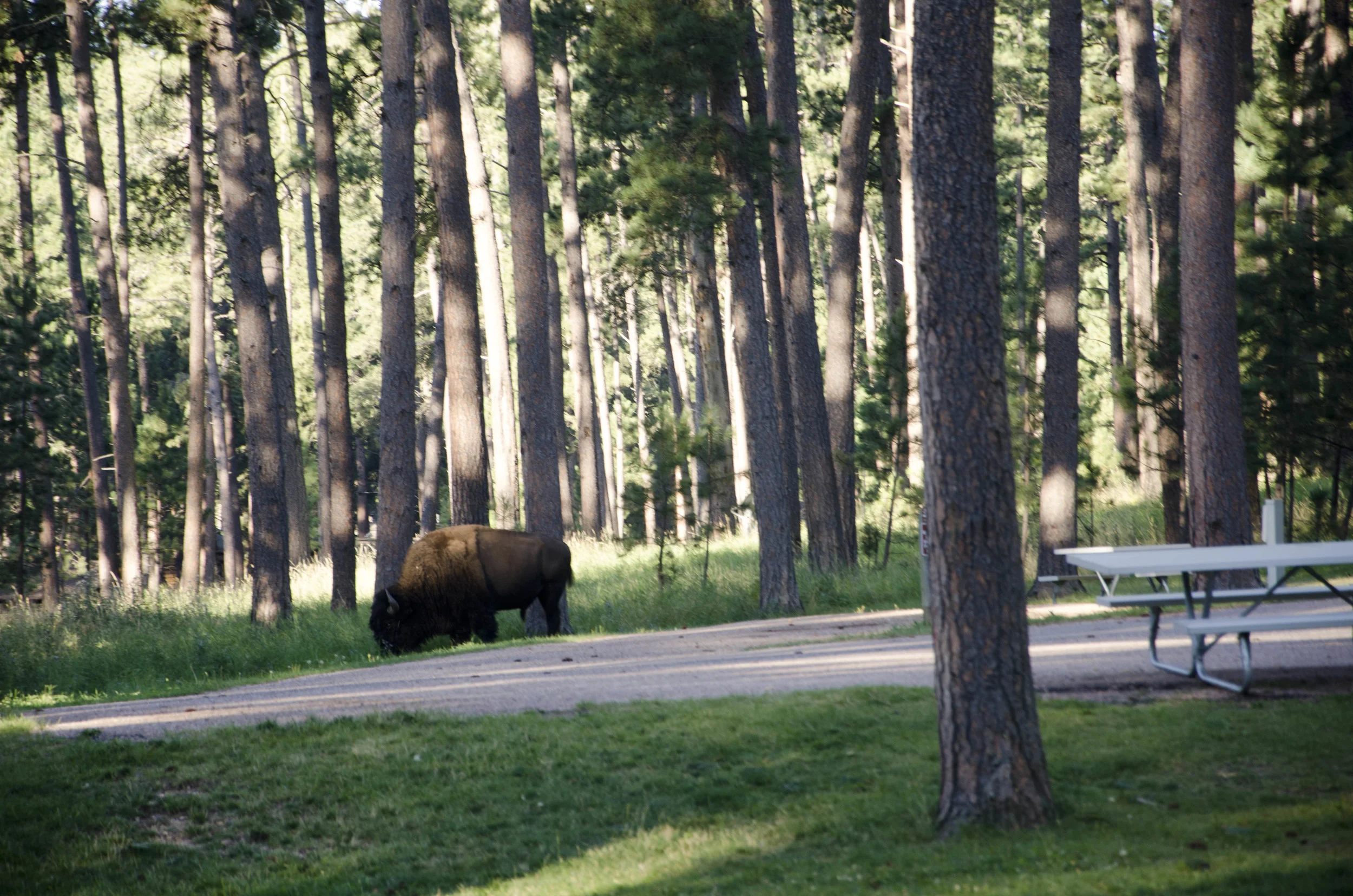 Day 46: 400ish miles in 1 really big state