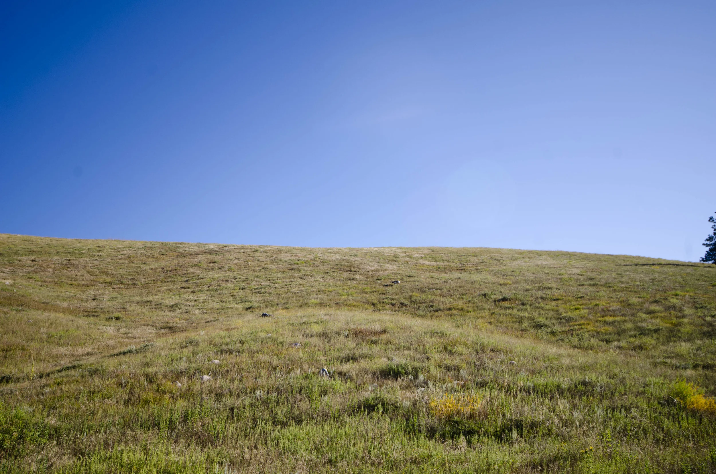 Day 46: 400ish miles in 1 really big state