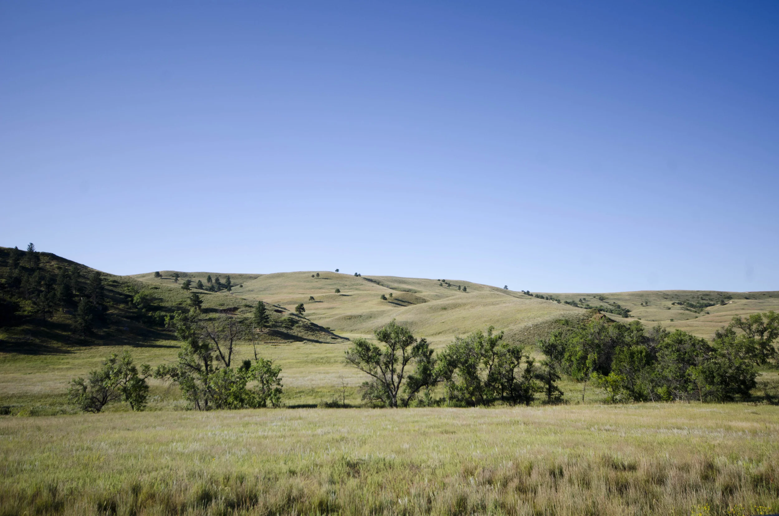 Day 46: 400ish miles in 1 really big state