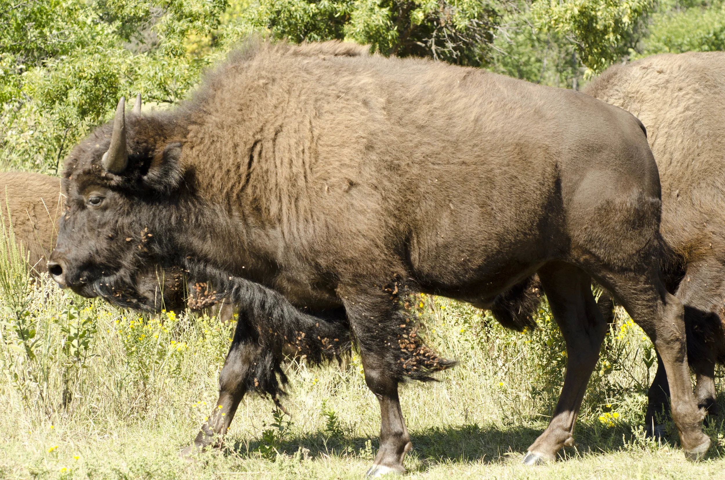 Day 46: 400ish miles in 1 really big state