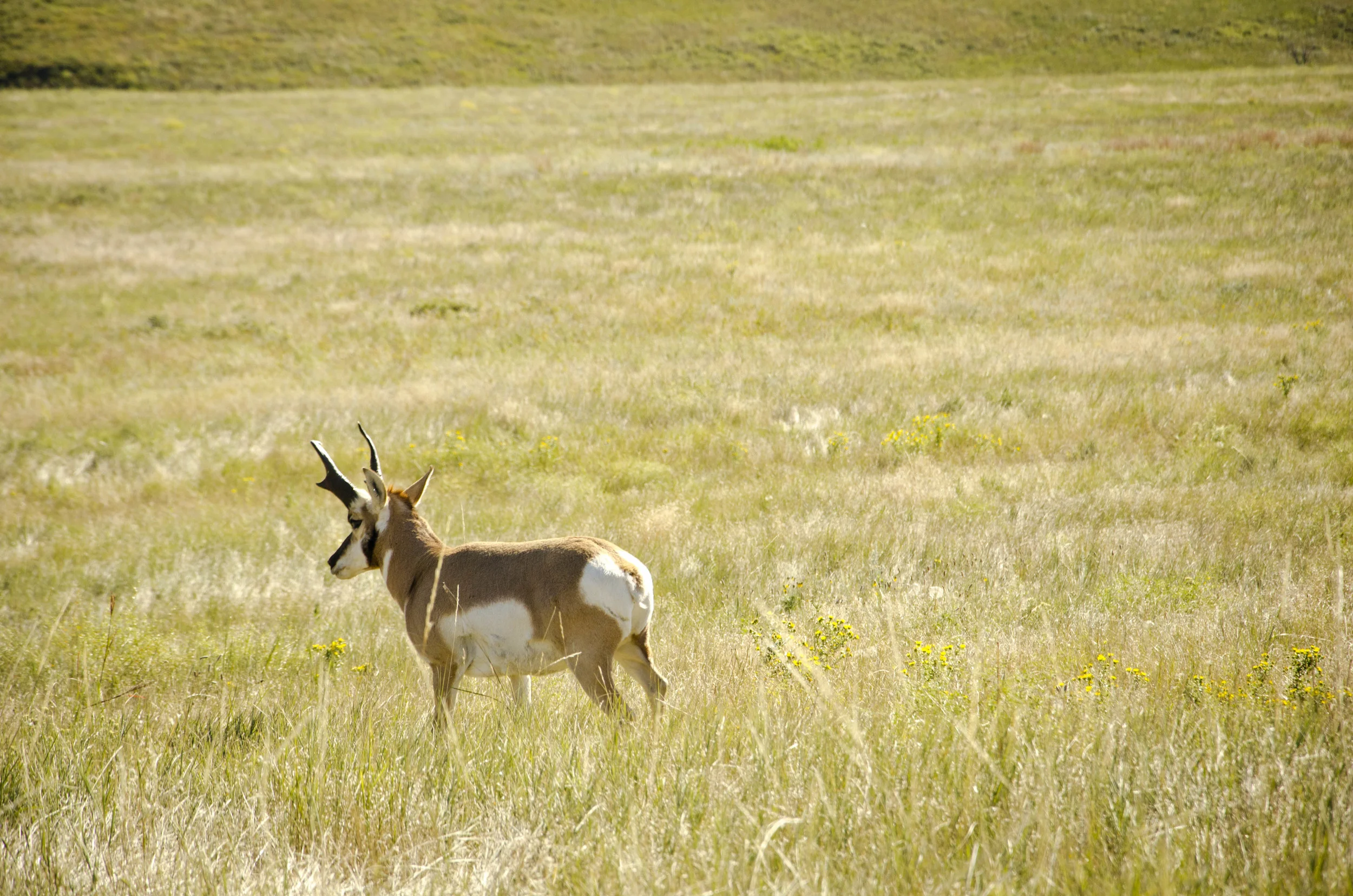 Day 46: 400ish miles in 1 really big state