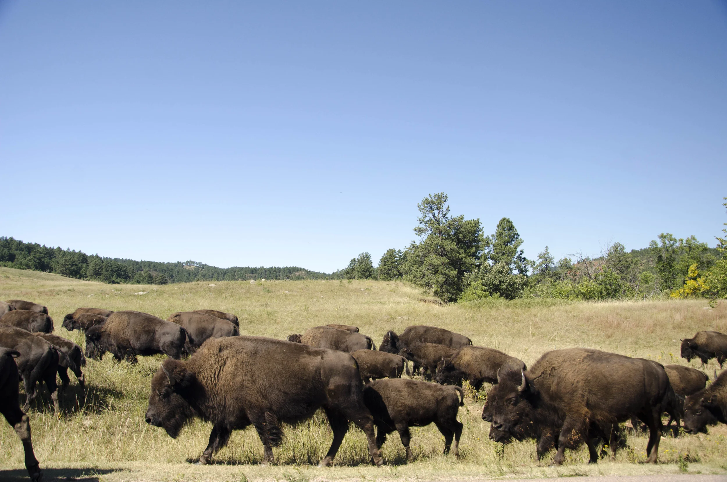 Day 46: 400ish miles in 1 really big state