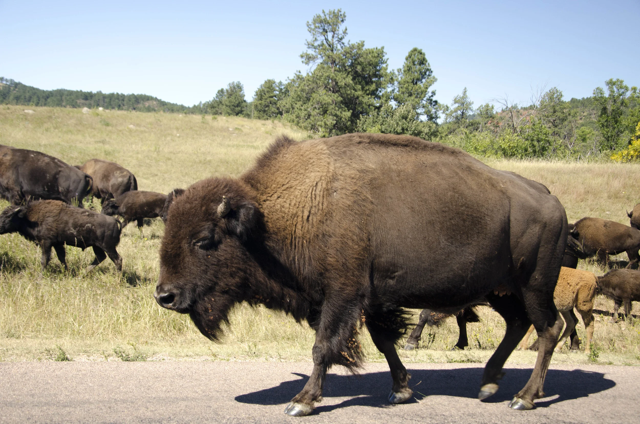 Day 46: 400ish miles in 1 really big state
