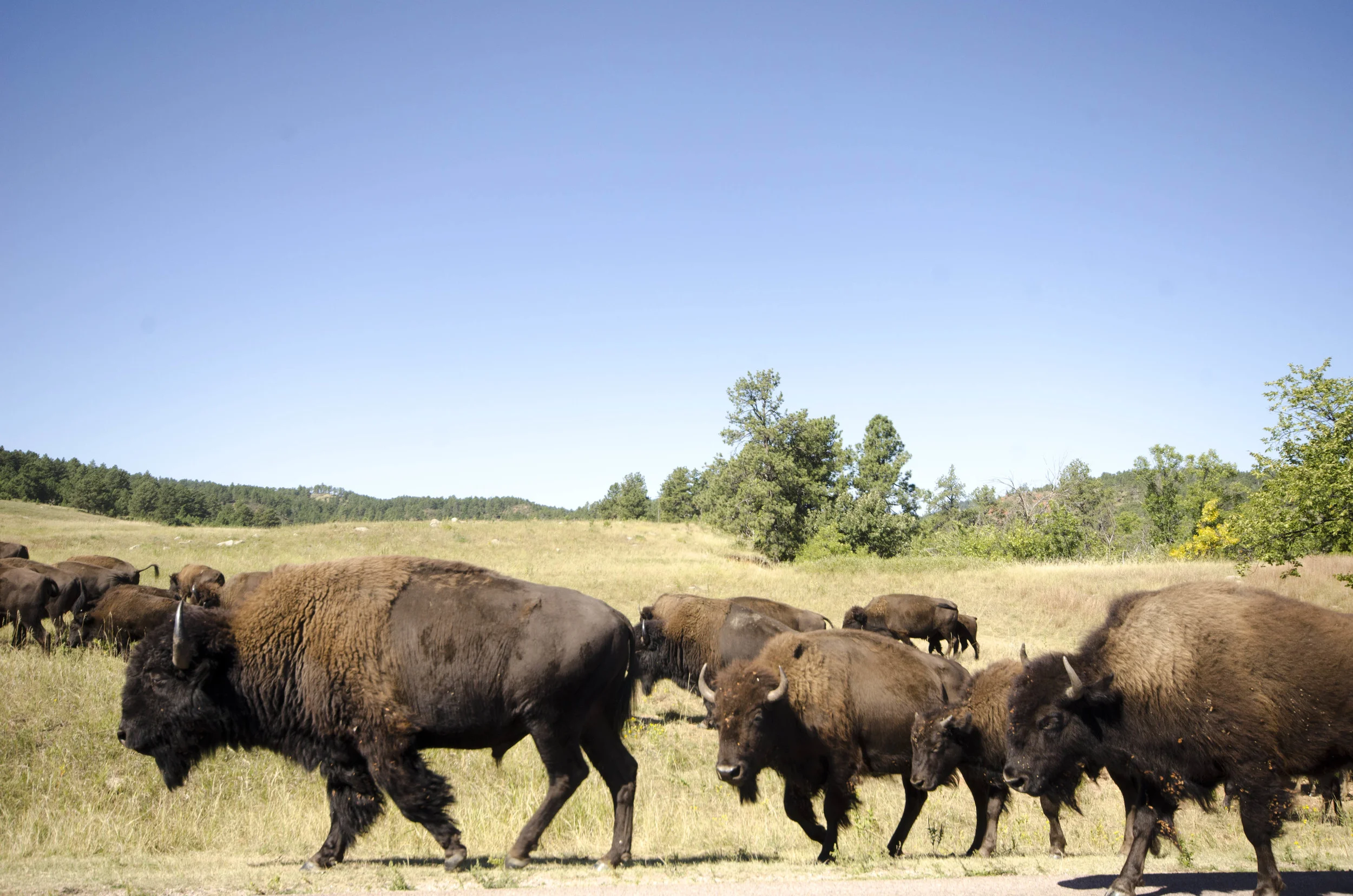 Day 46: 400ish miles in 1 really big state