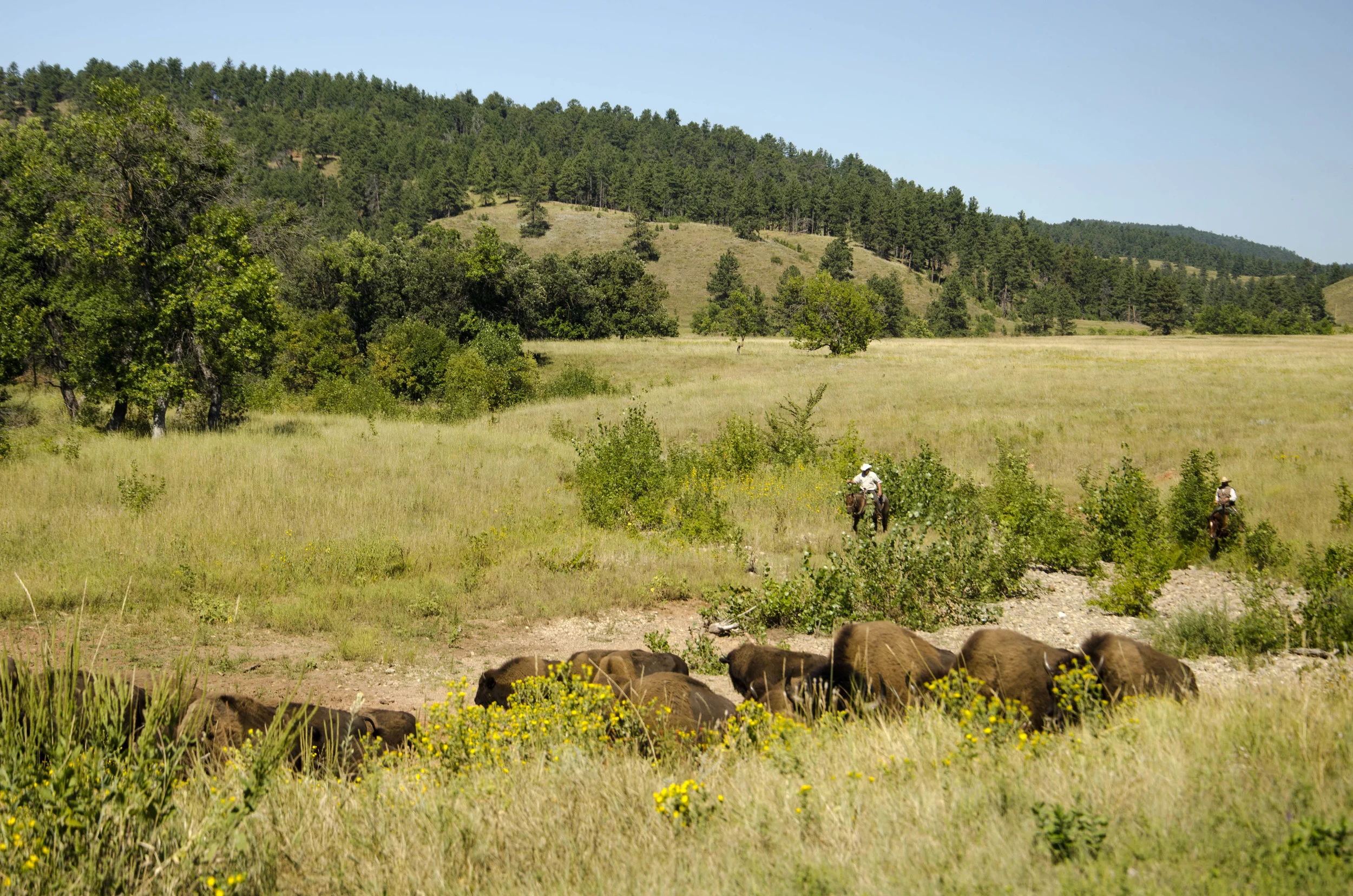 Day 46: 400ish miles in 1 really big state