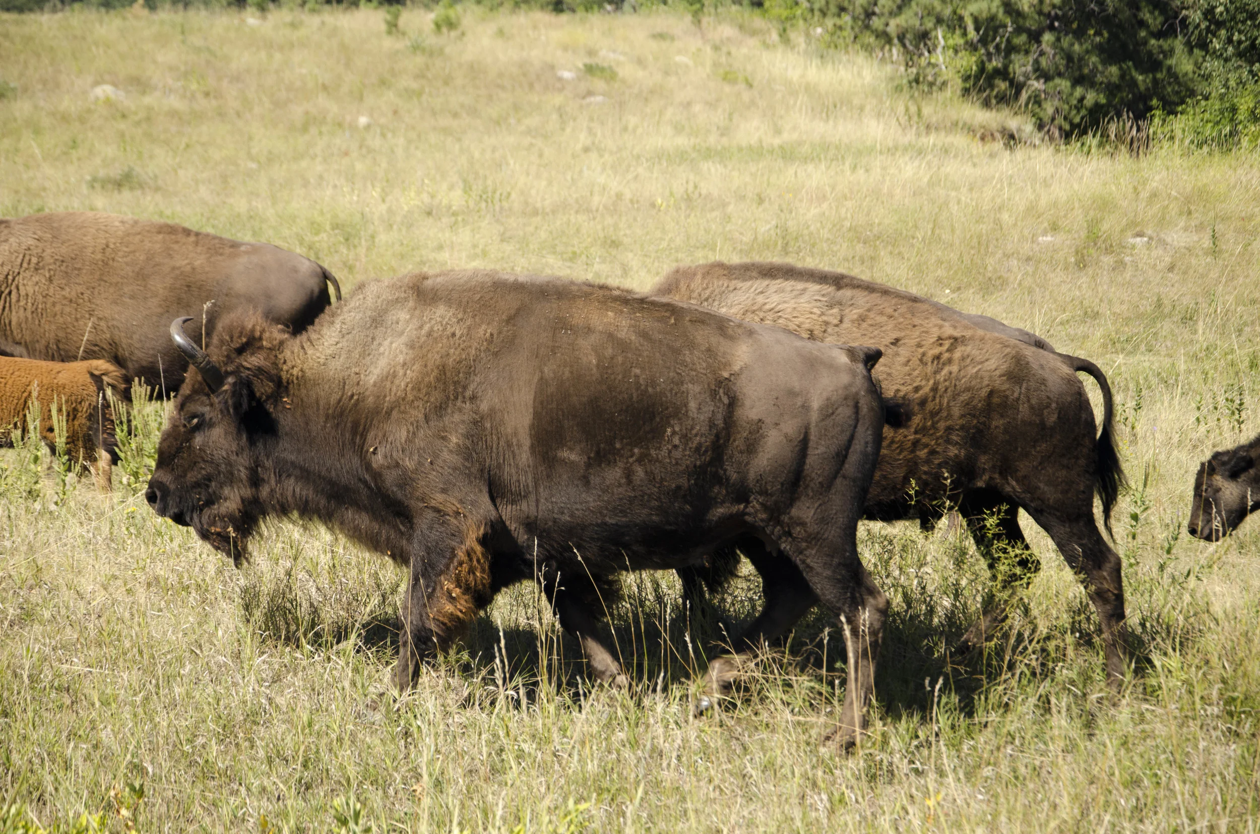 Day 46: 400ish miles in 1 really big state