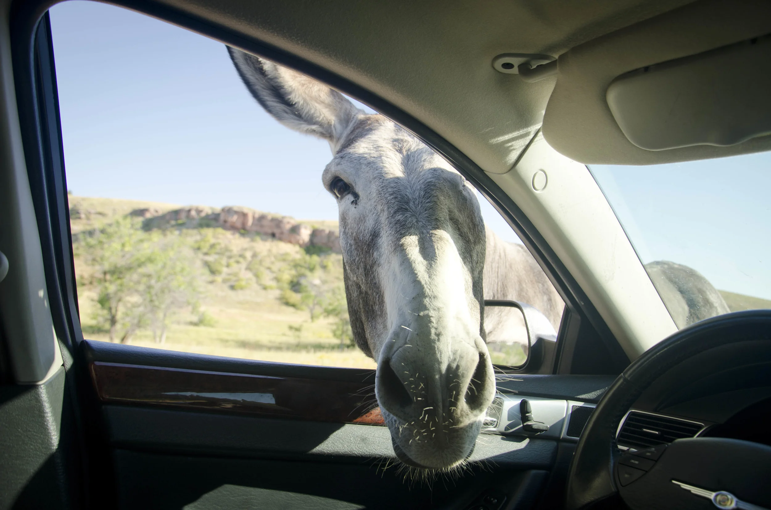 Day 46: 400ish miles in 1 really big state