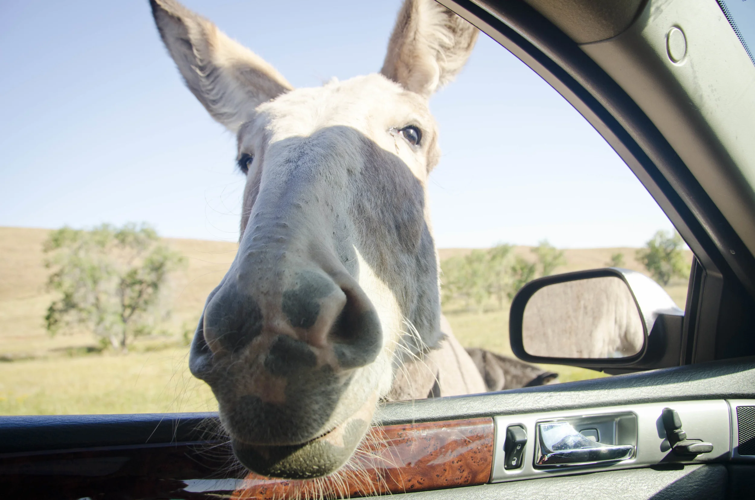 Day 46: 400ish miles in 1 really big state