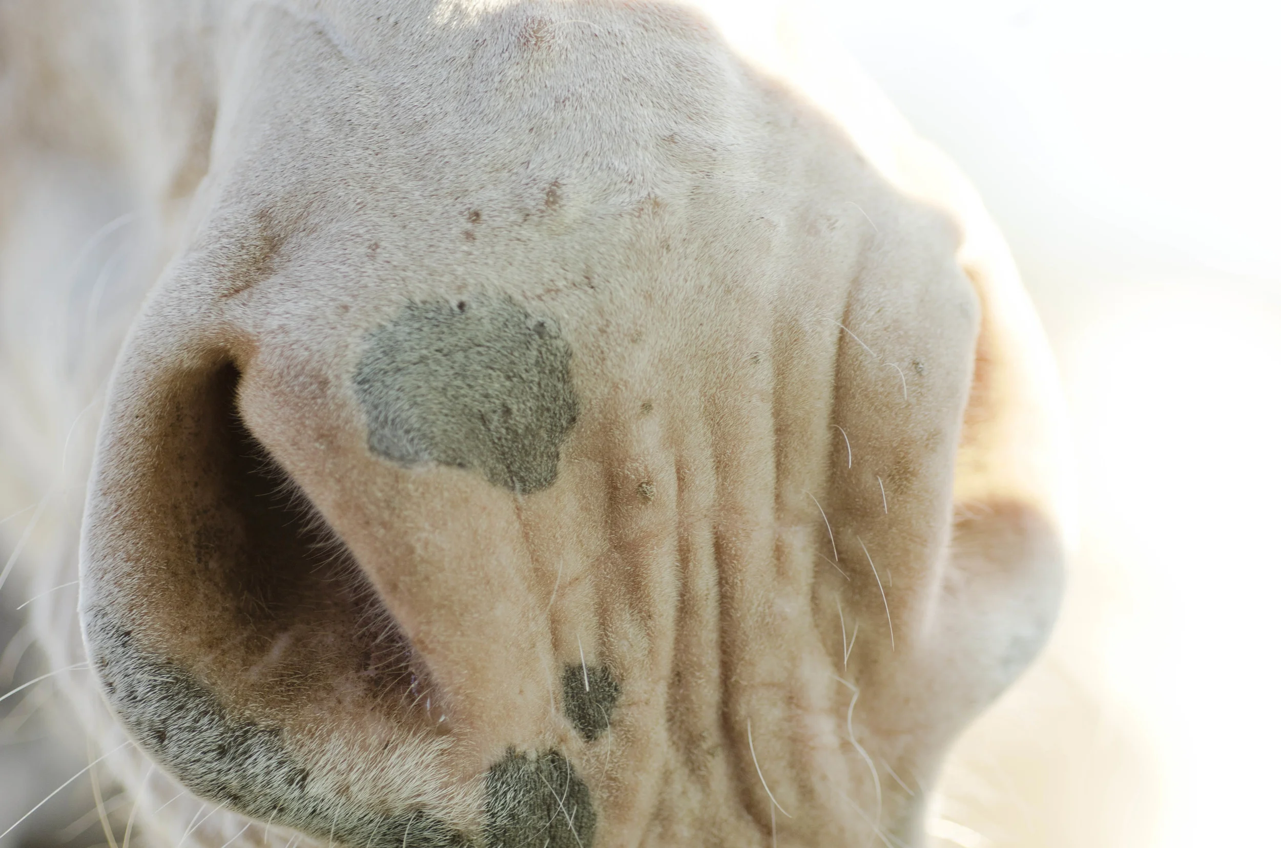 Day 46: 400ish miles in 1 really big state