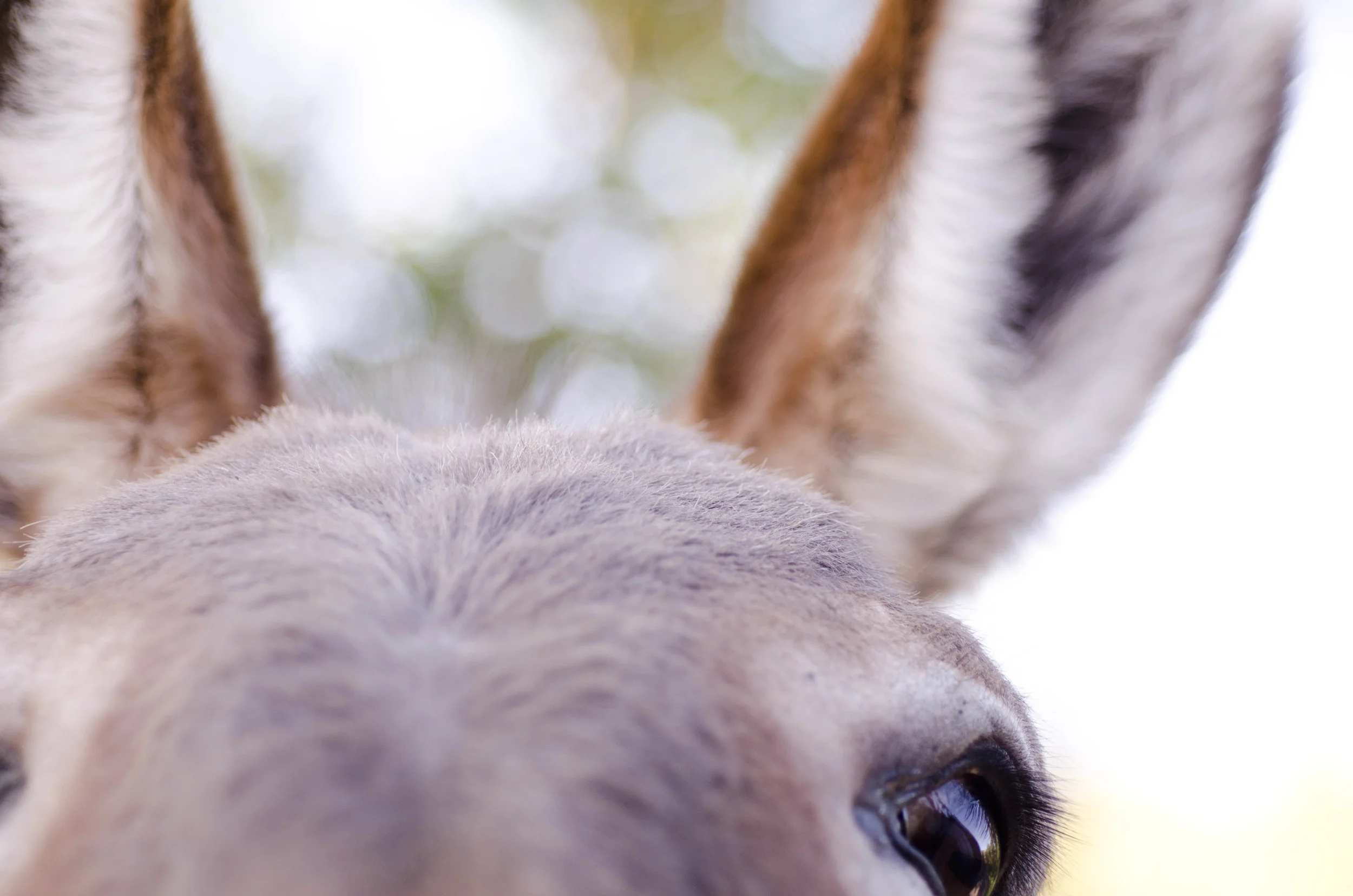 Day 46: 400ish miles in 1 really big state