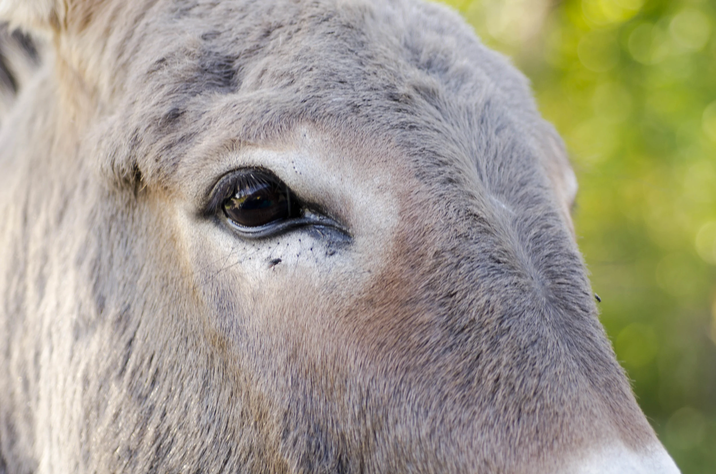 Day 46: 400ish miles in 1 really big state