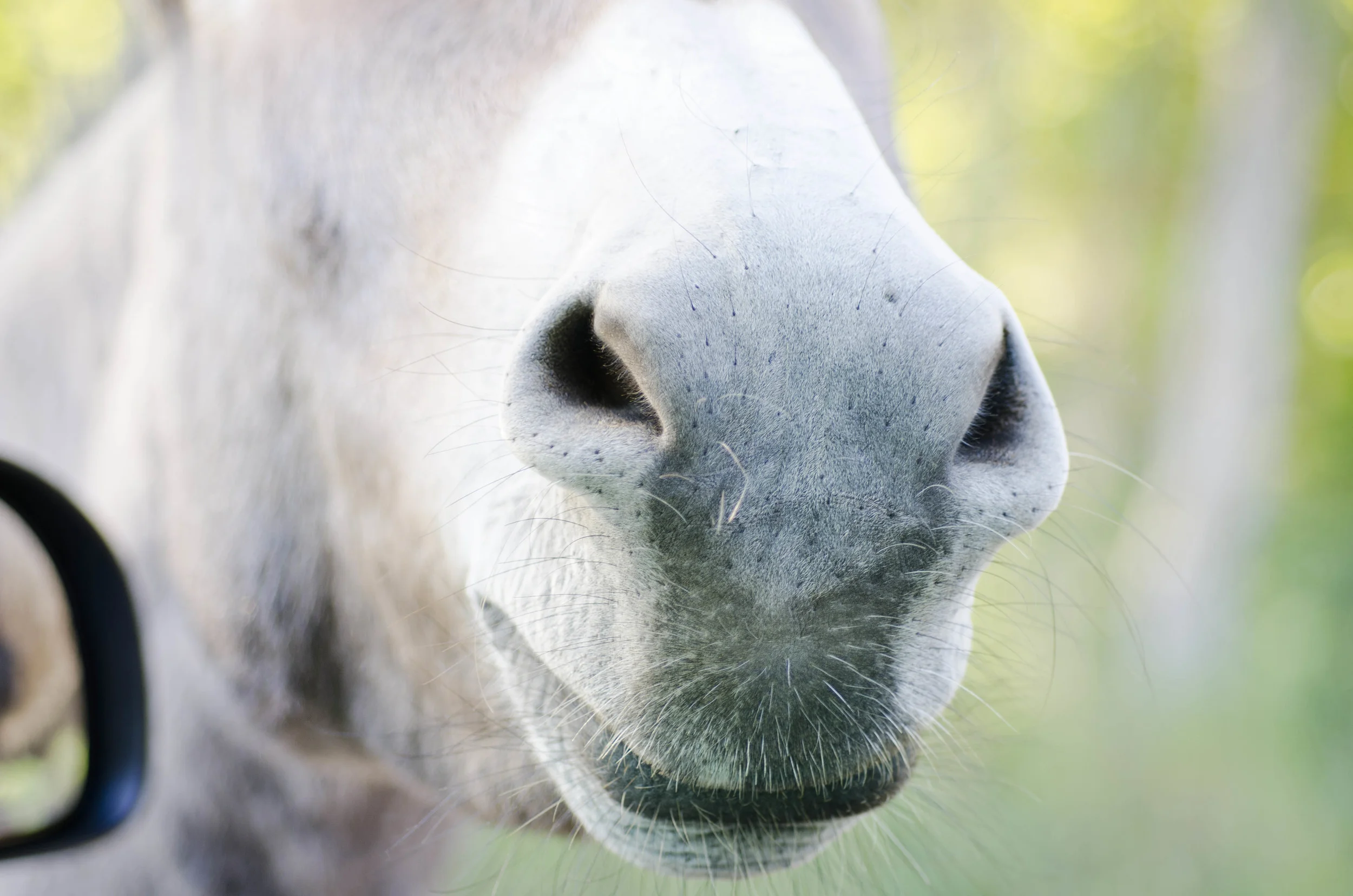Day 46: 400ish miles in 1 really big state