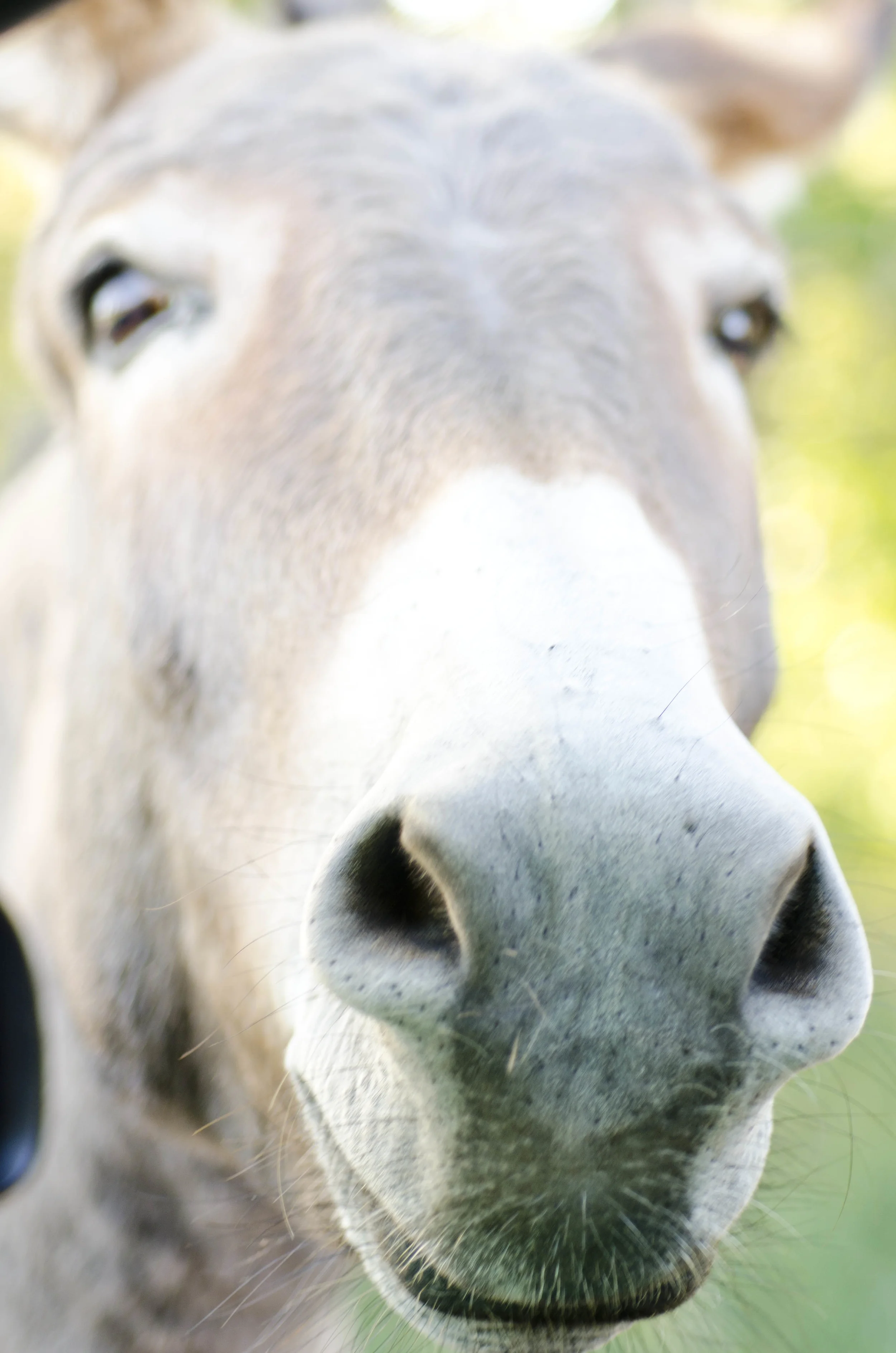 Day 46: 400ish miles in 1 really big state