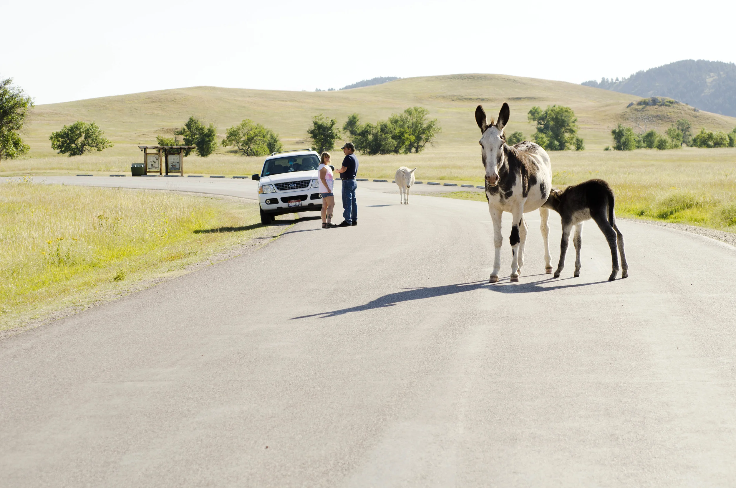 Day 46: 400ish miles in 1 really big state