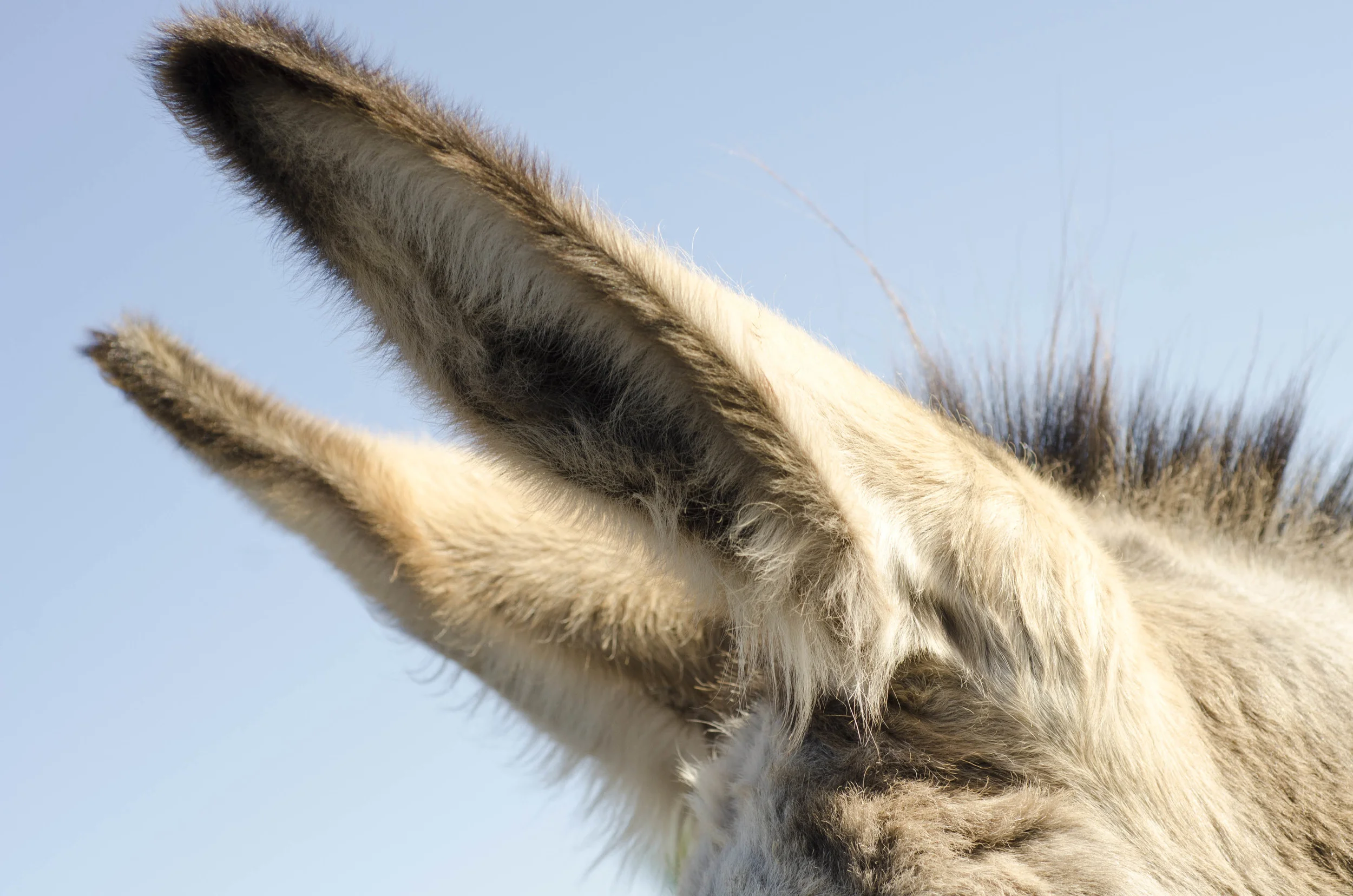 Day 46: 400ish miles in 1 really big state