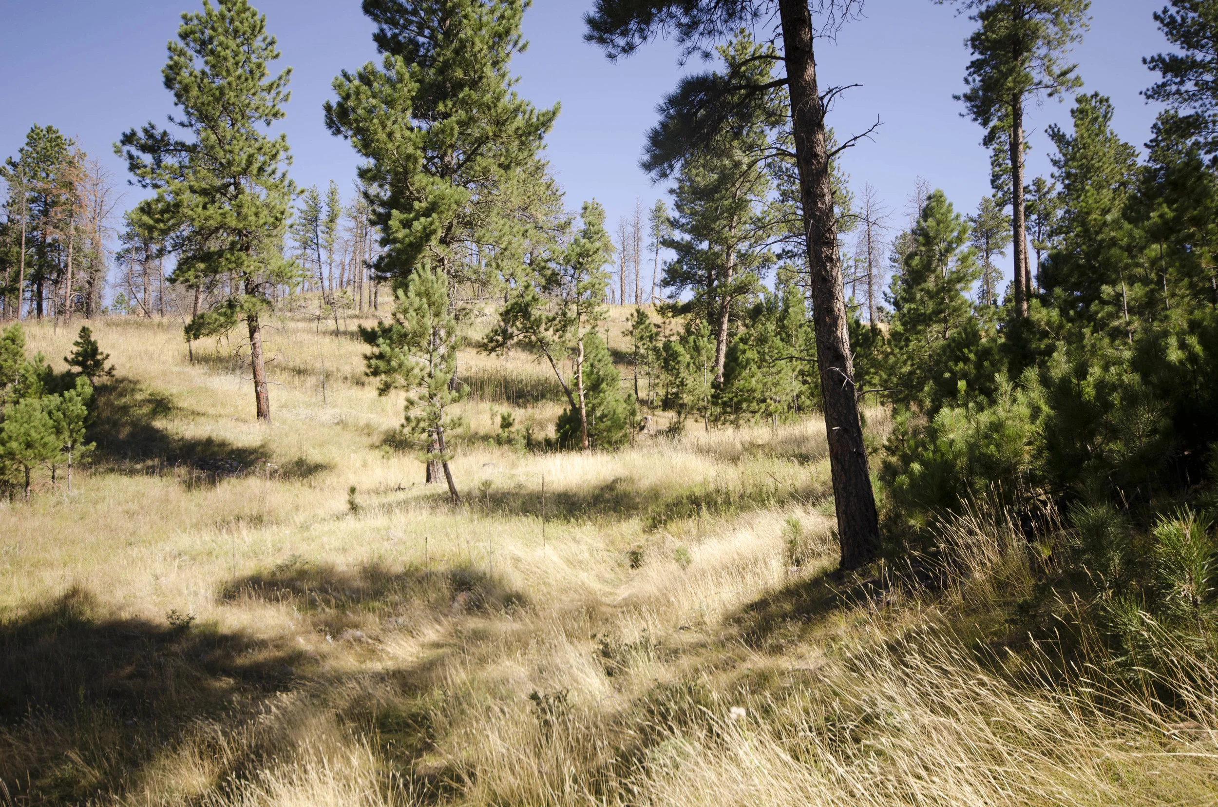 Day 46: 400ish miles in 1 really big state