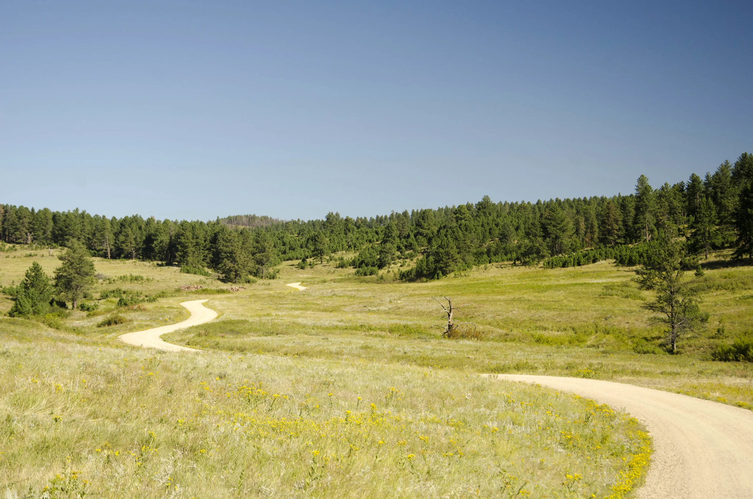 Day 46: 400ish miles in 1 really big state
