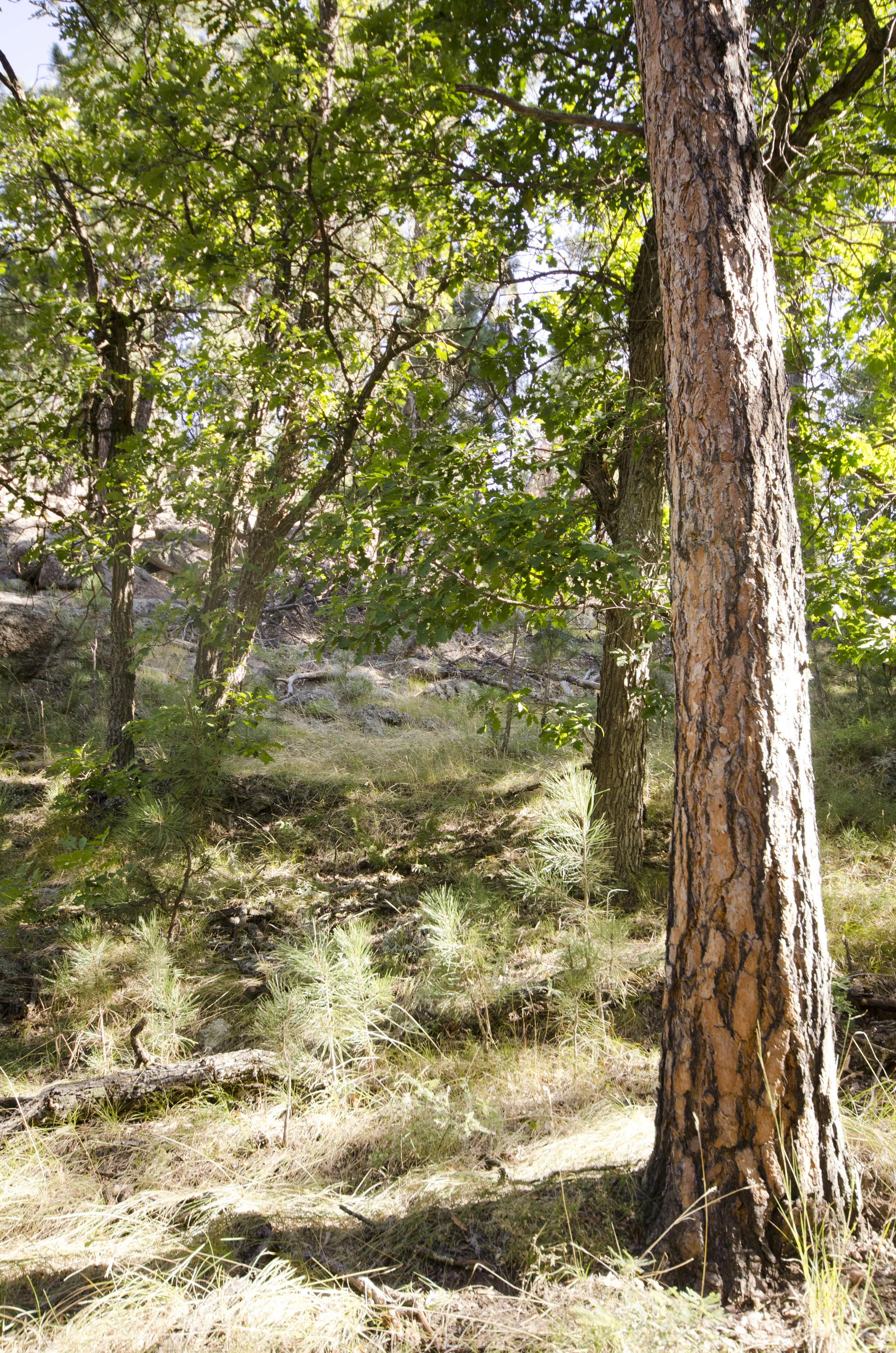 Day 46: 400ish miles in 1 really big state