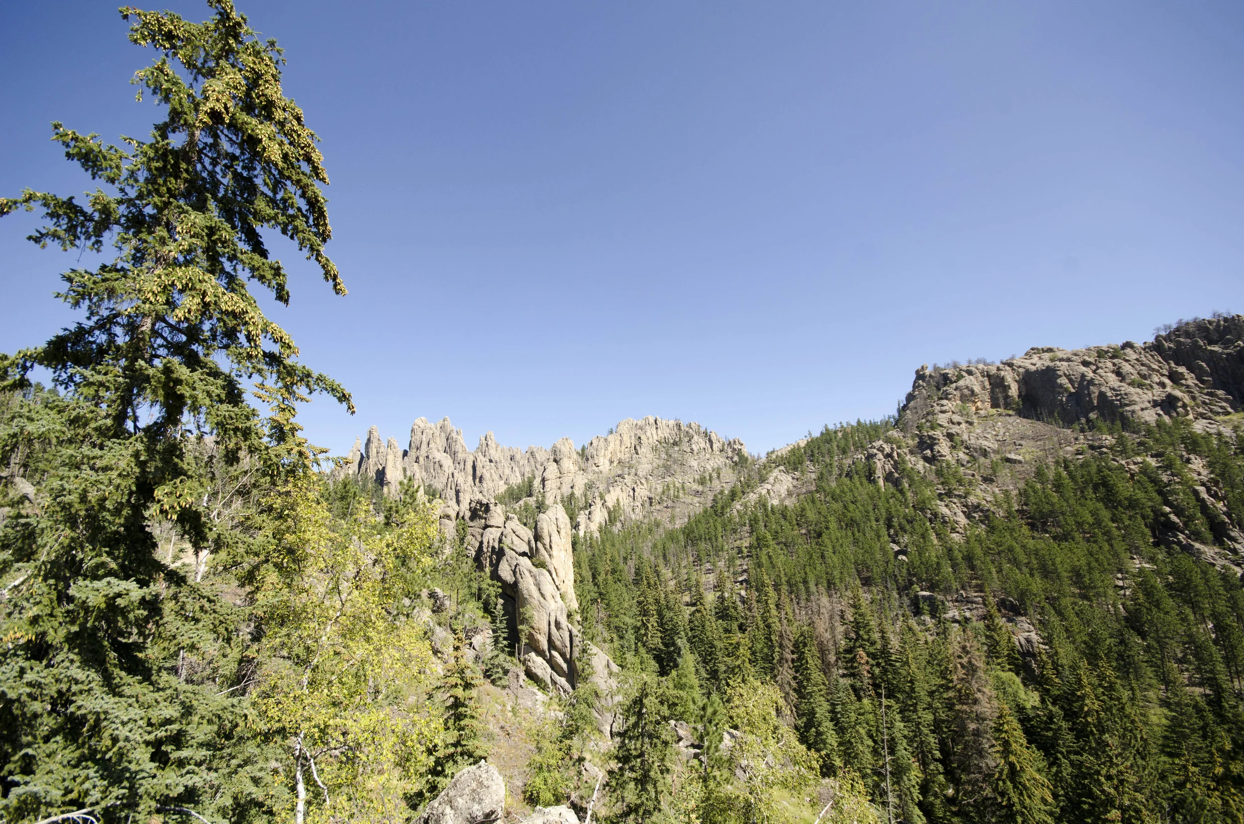 Day 46: 400ish miles in 1 really big state