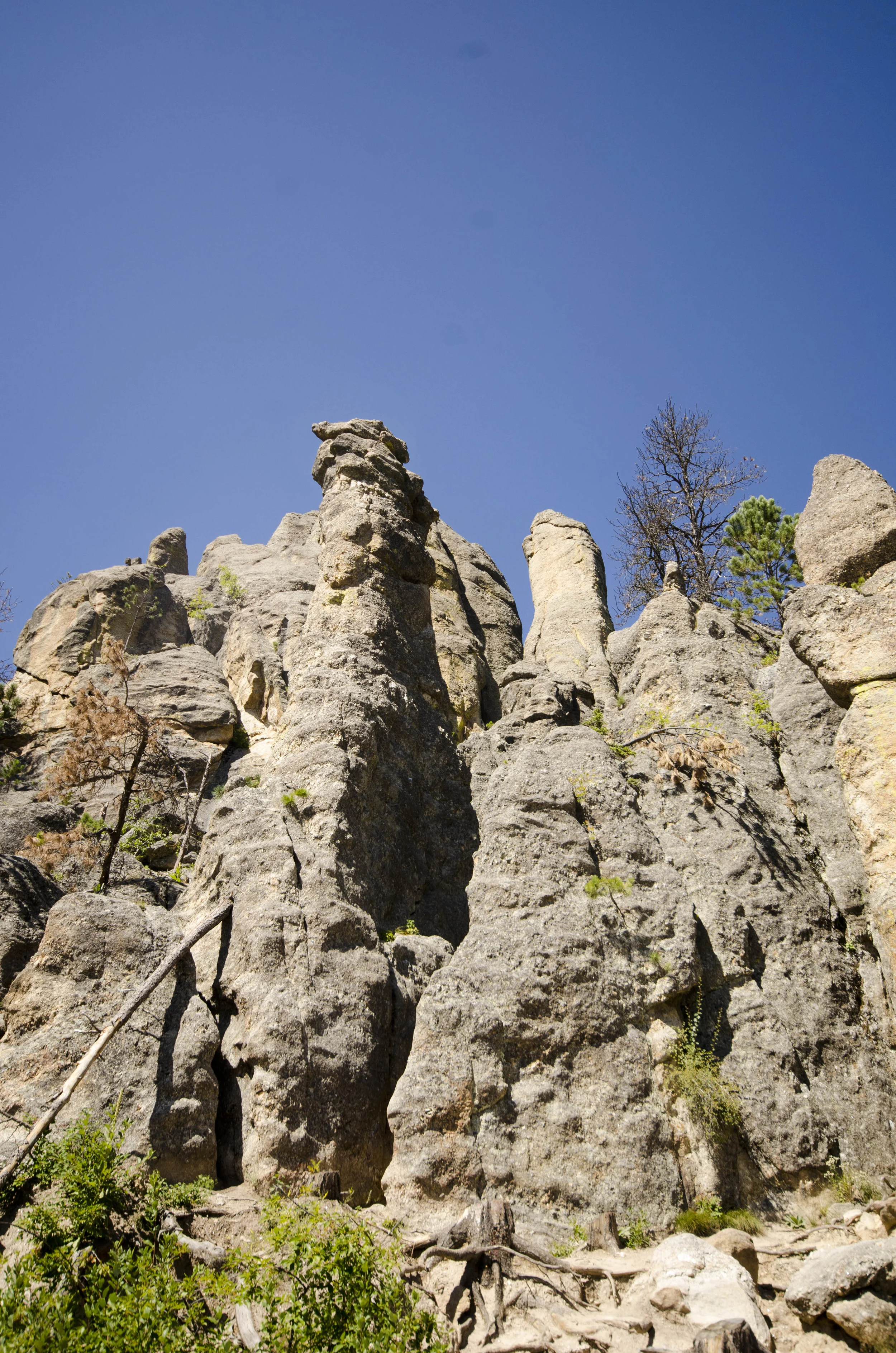 Day 46: 400ish miles in 1 really big state