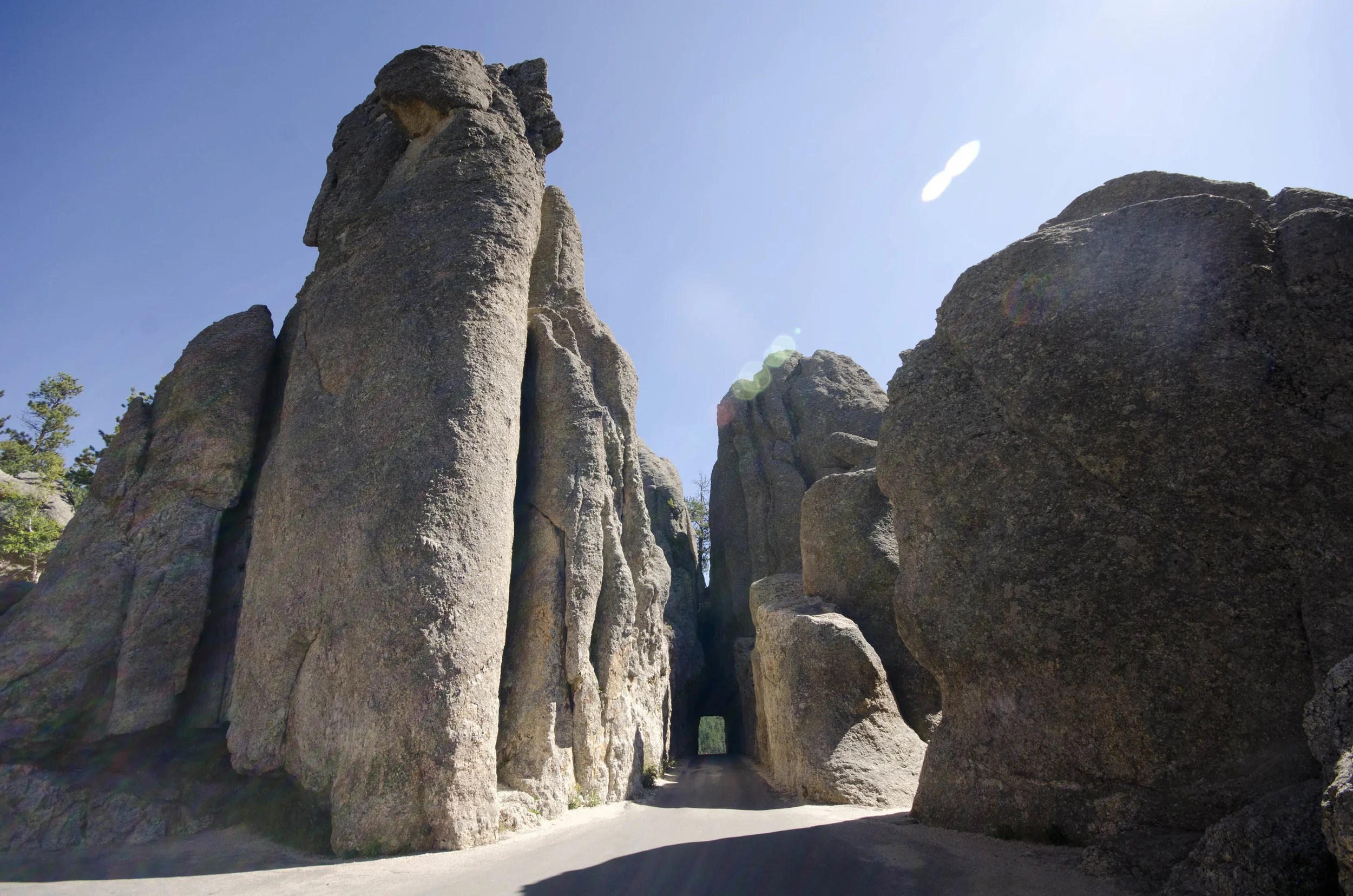 Day 46: 400ish miles in 1 really big state