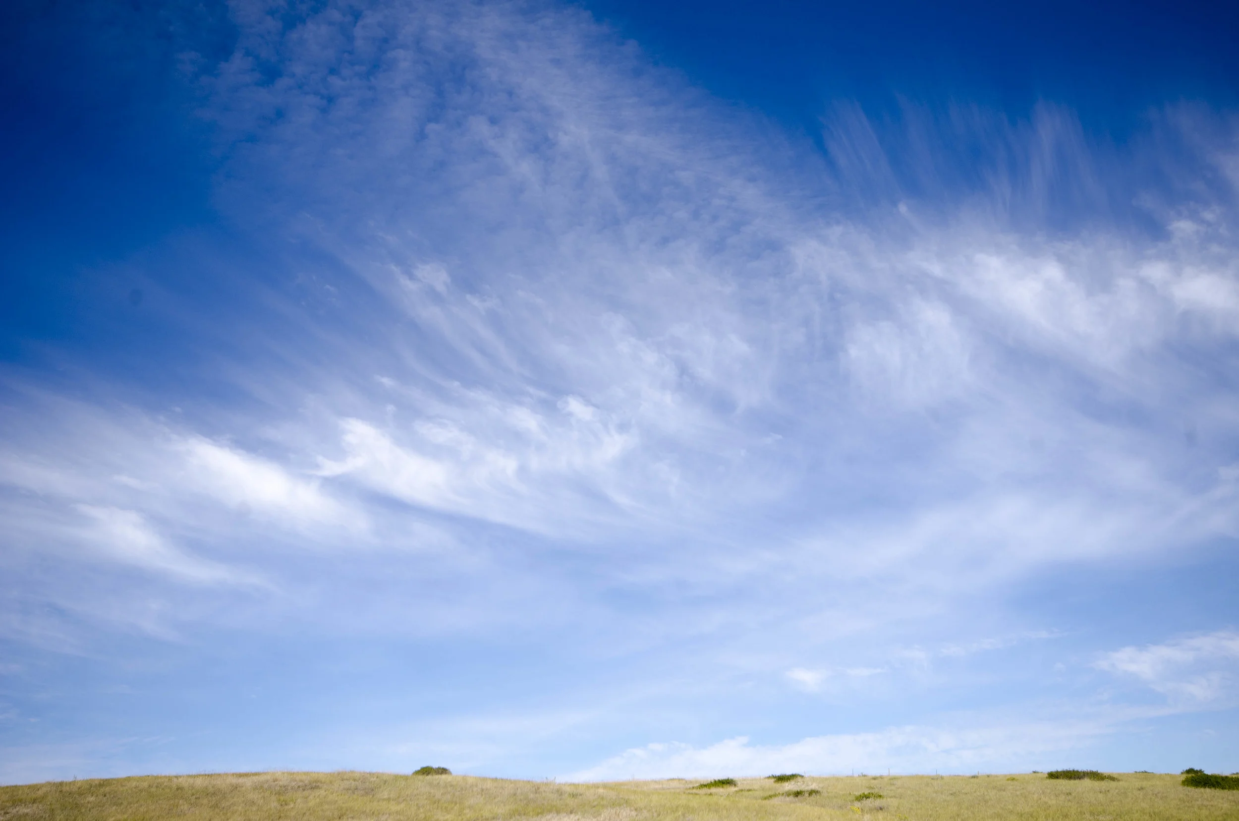 Day 46: 400ish miles in 1 really big state