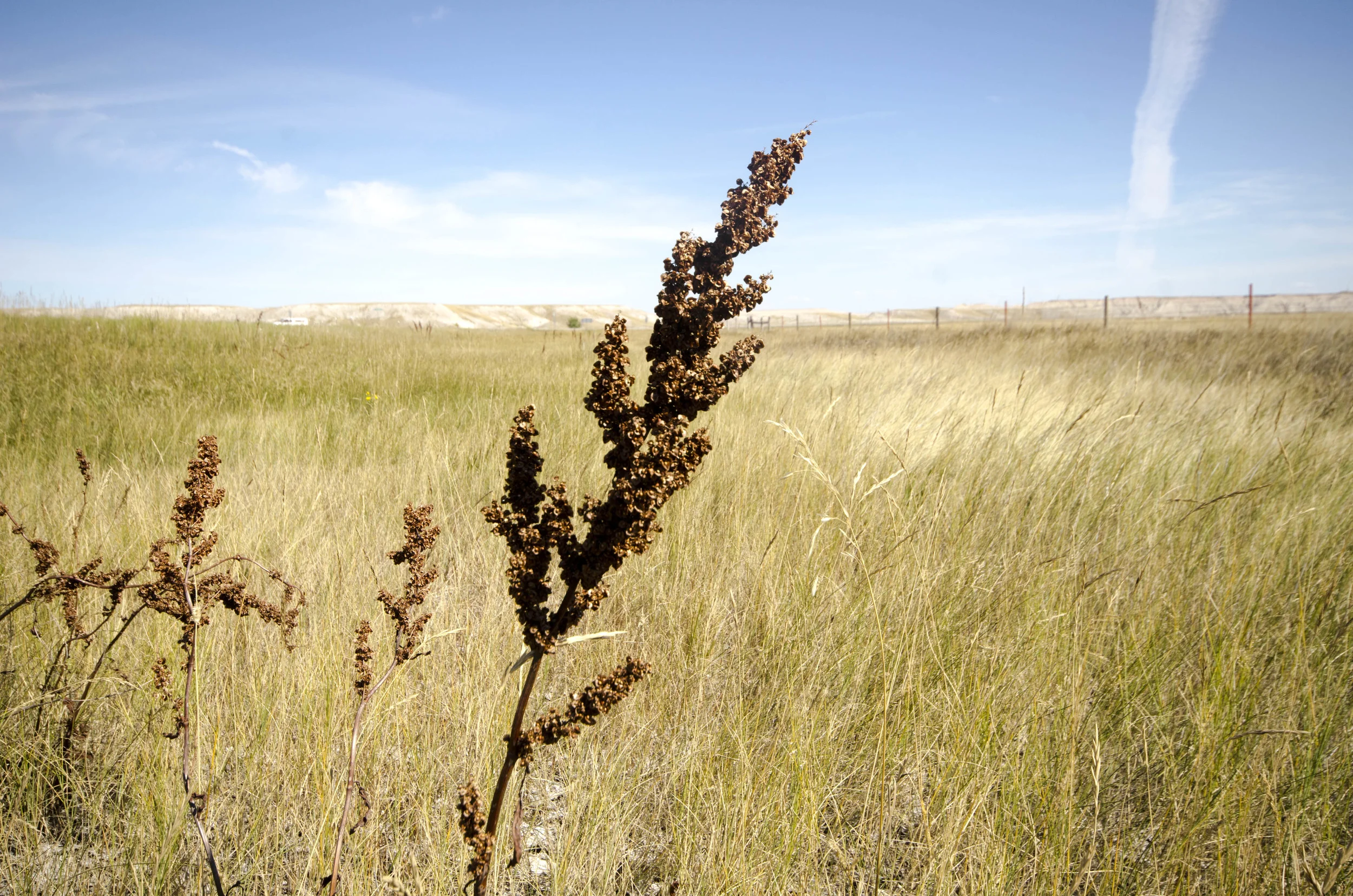 Day 46: 400ish miles in 1 really big state