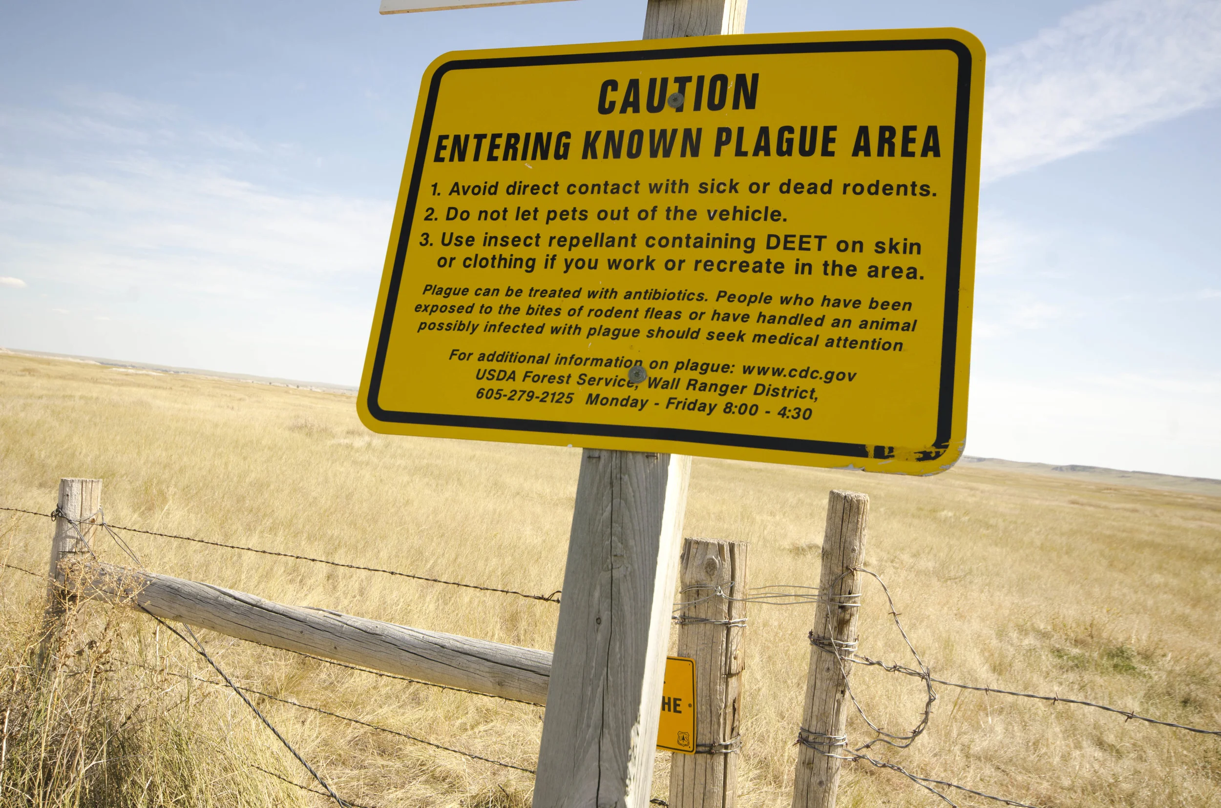 Day 46: 400ish miles in 1 really big state