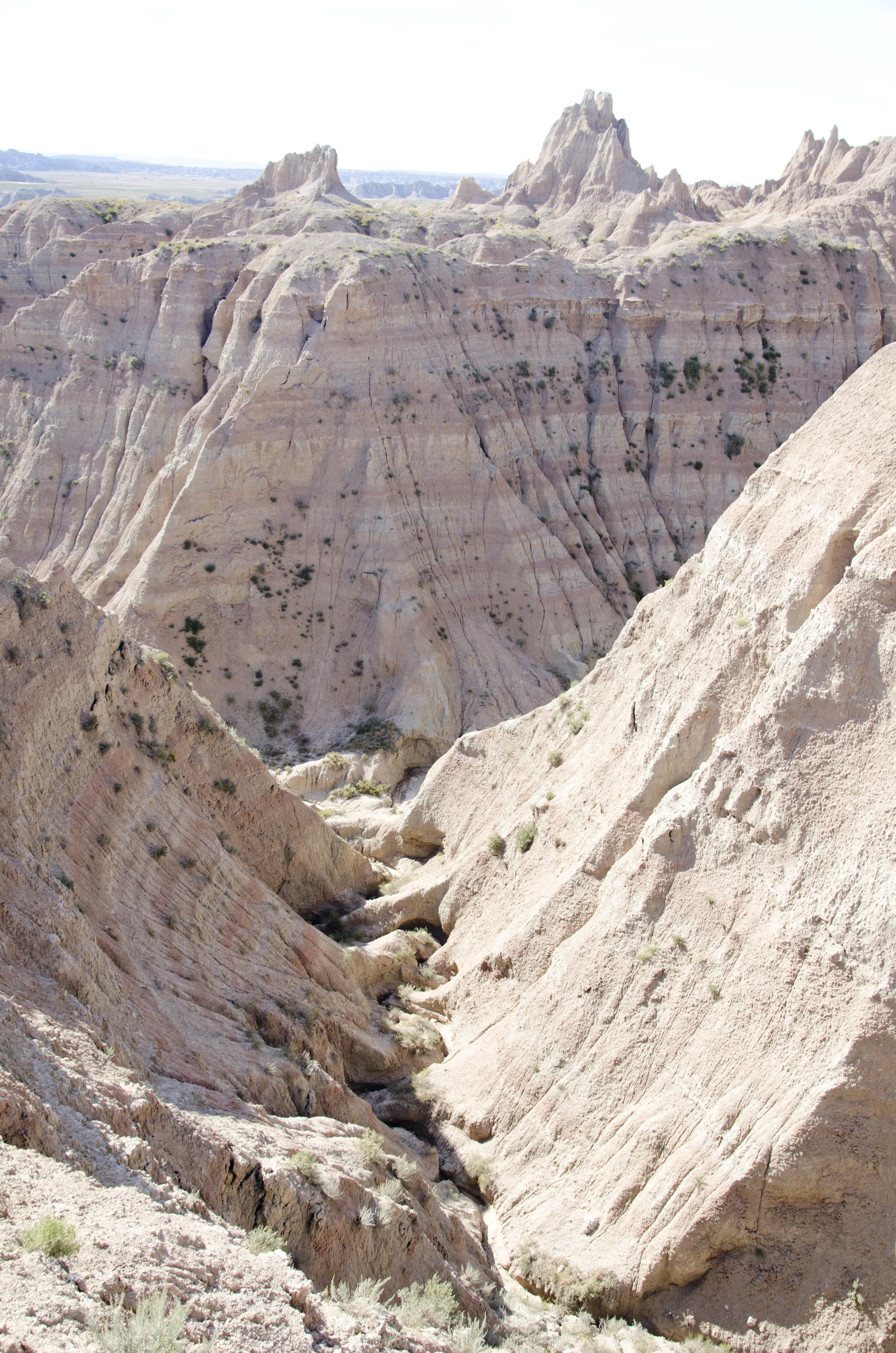 Day 46: 400ish miles in 1 really big state