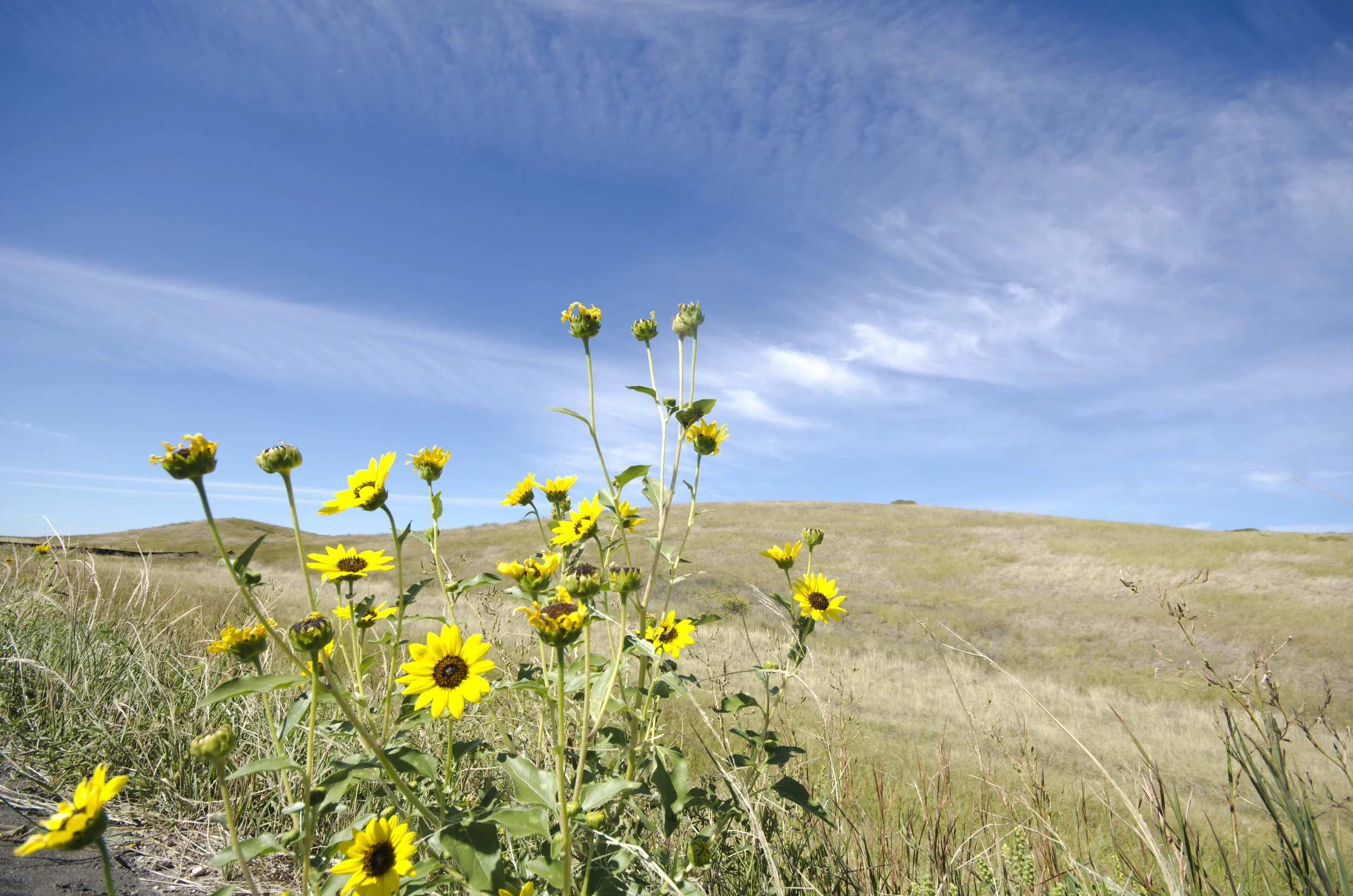 Day 46: 400ish miles in 1 really big state