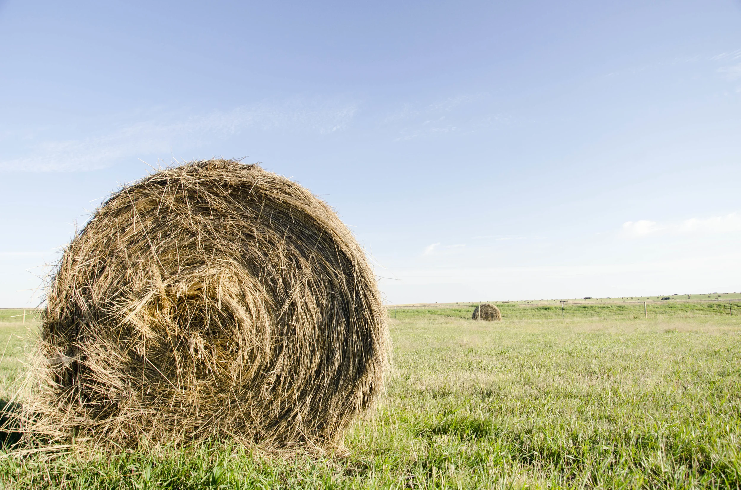 Day 46: 400ish miles in 1 really big state