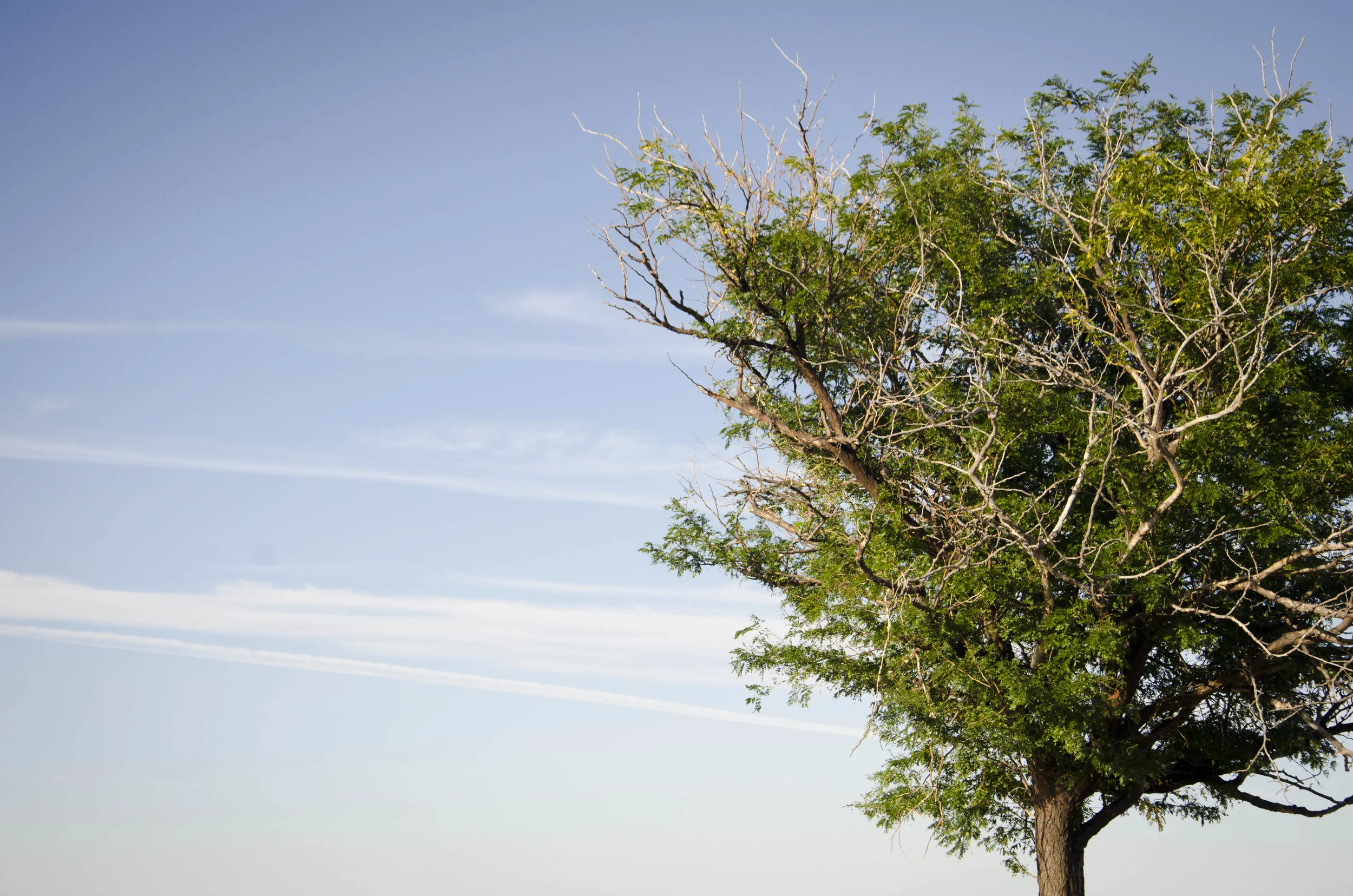 Day 46: 400ish miles in 1 really big state